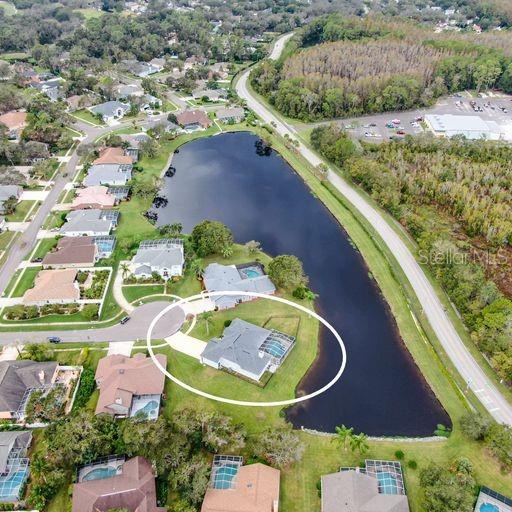 3902 Hidden Spring Place Valrico, FL 33596 - Photo 31 of 31