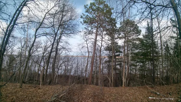 $299,900 | 50126 County 29, Bemidji, MN 56601