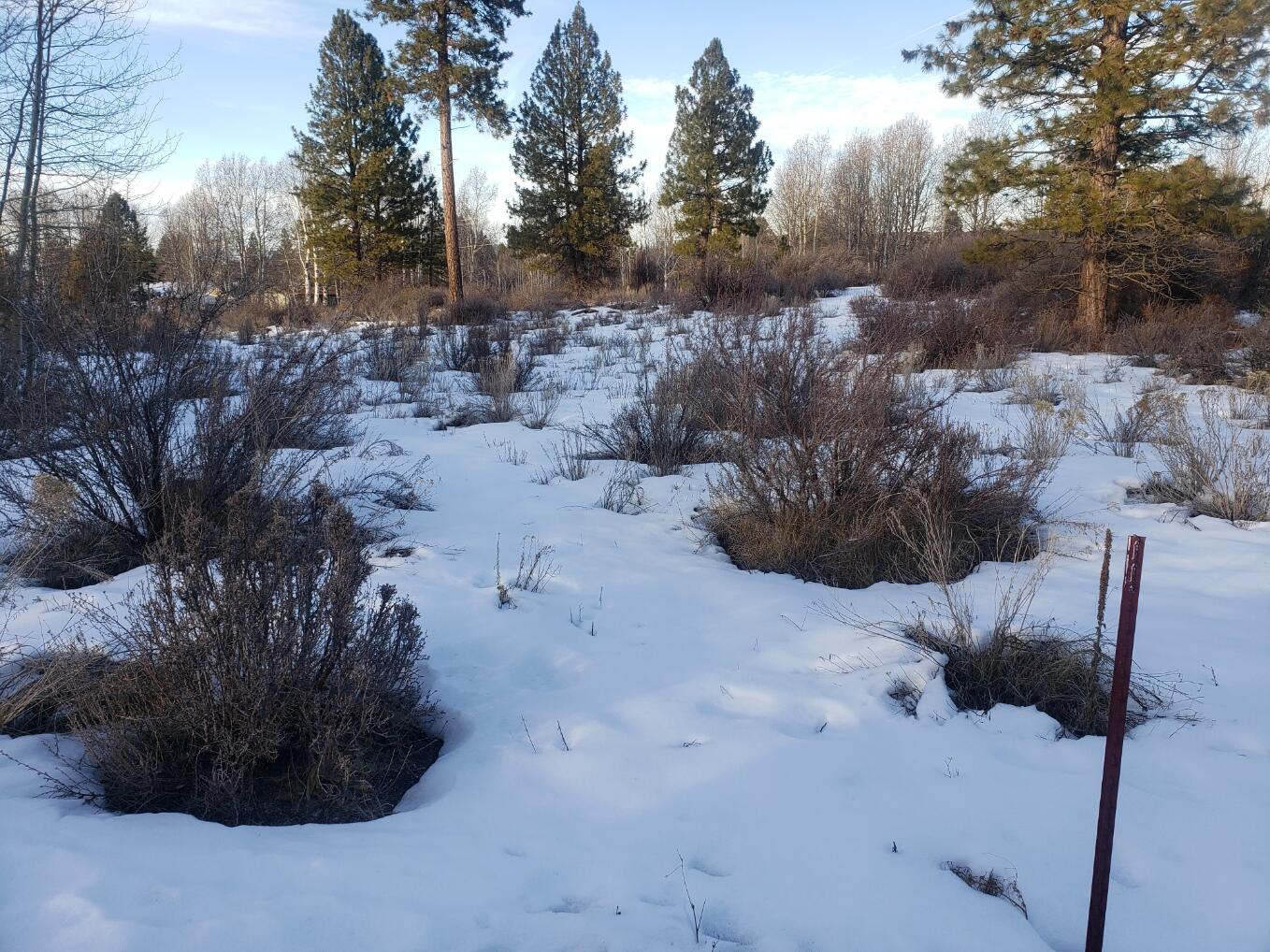11 Block Shoreview Drive Chiloquin, OR 97624 - Photo 5 of 7 Shoreview 5