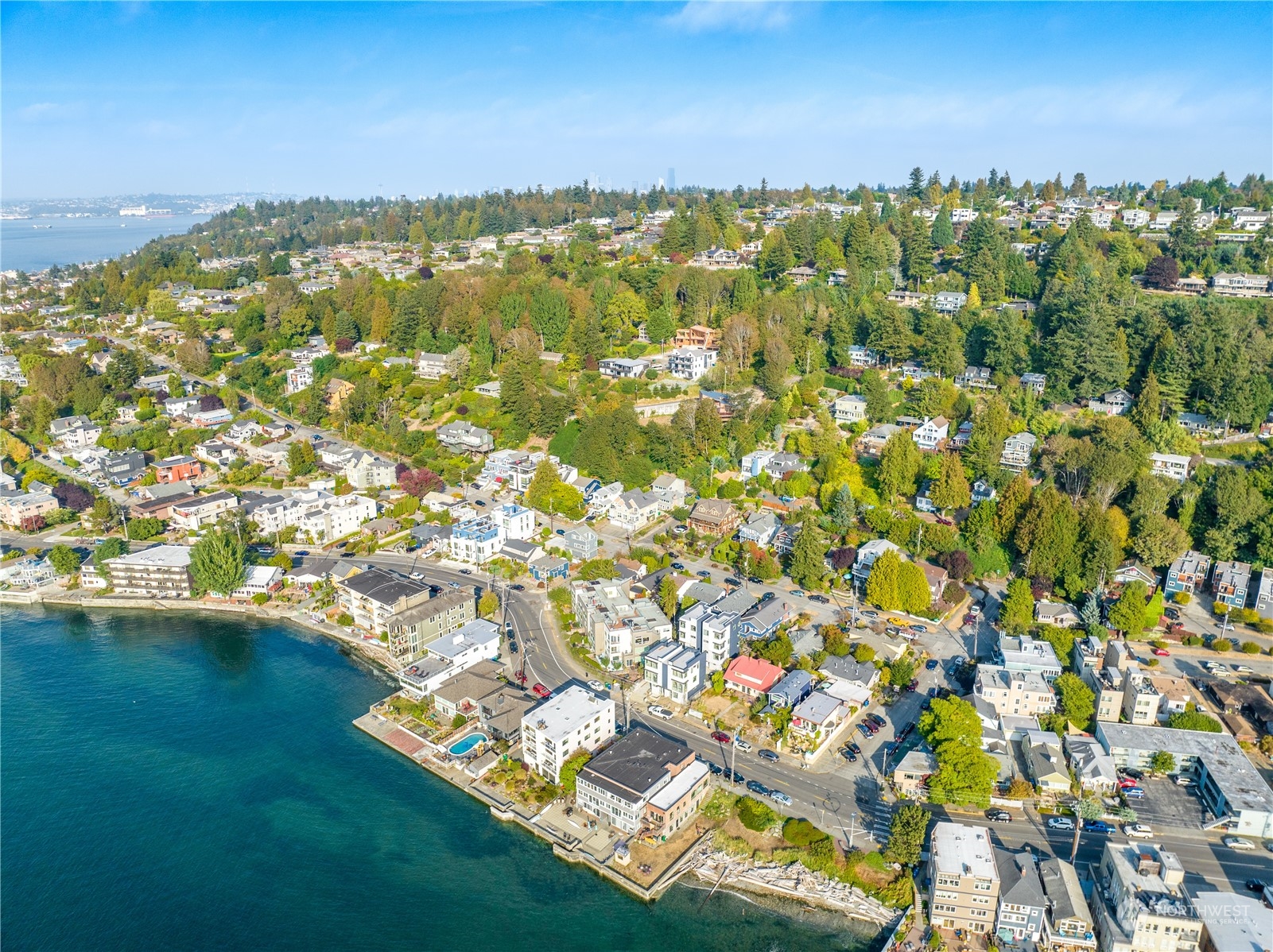 4027 Beach Drive Southwest Seattle, WA 98116 - Photo 4 of 15 view of city and green space