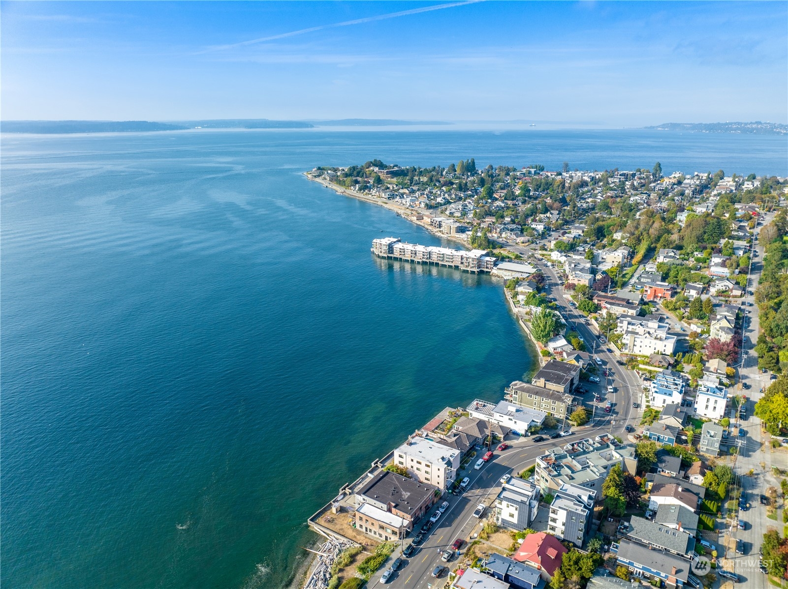 4027 Beach Drive Southwest Seattle, WA 98116 - Photo 5 of 15 a view of a lake with a city