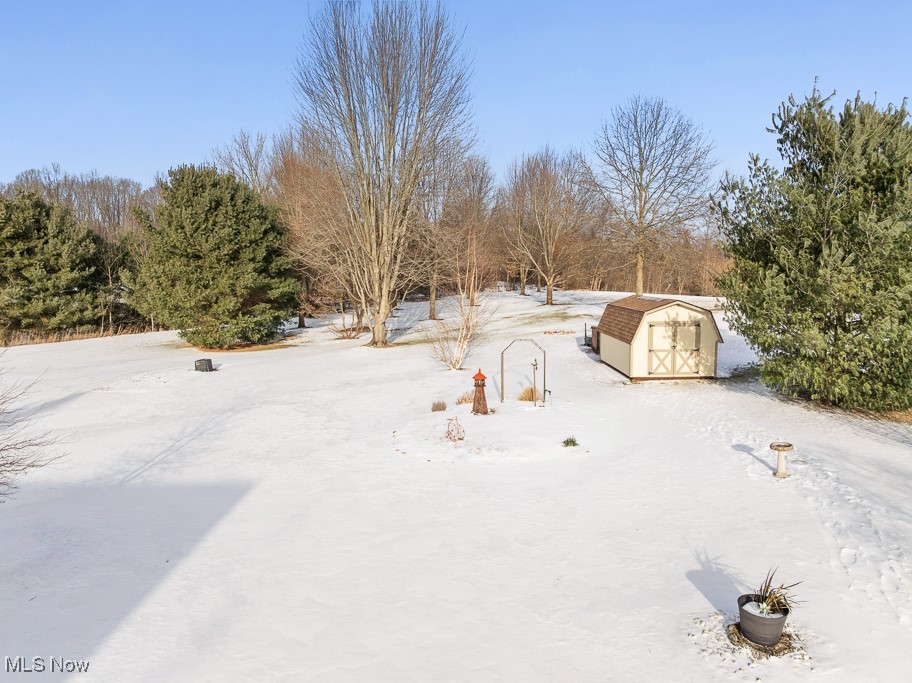 4808 Sherman Road Kent, OH 44240 - Photo 44 of 50 Snowy yard with a shed