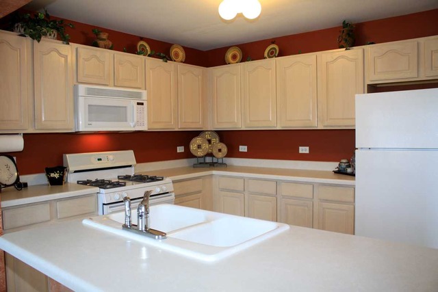 1041 Horizon Ridge Lake In The Hills, IL 60156 - Photo 6 of 17