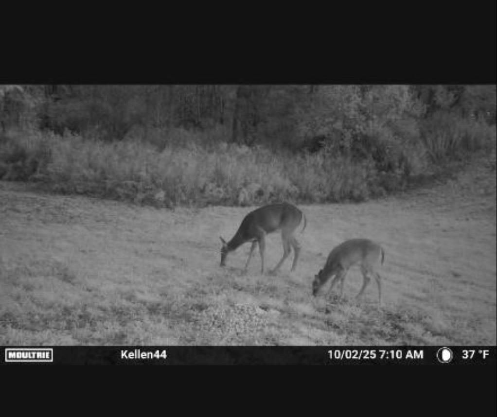 1187 Parks Road Goodells, MI 48027 - Photo 22 of 23