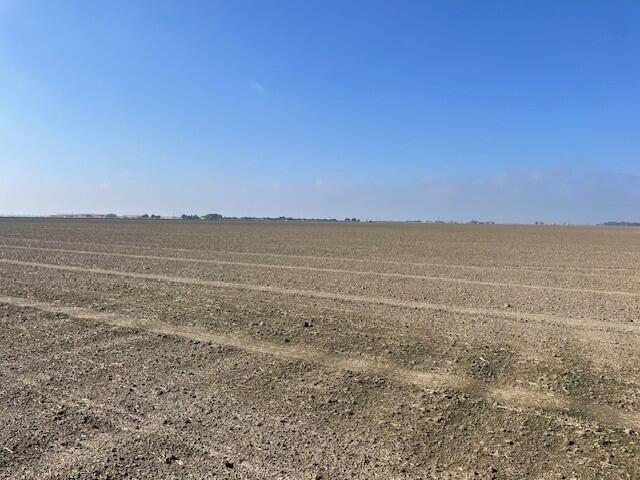 56 Rd Tulare Ca Tulare, CA 93274 - Photo 5 of 8 5