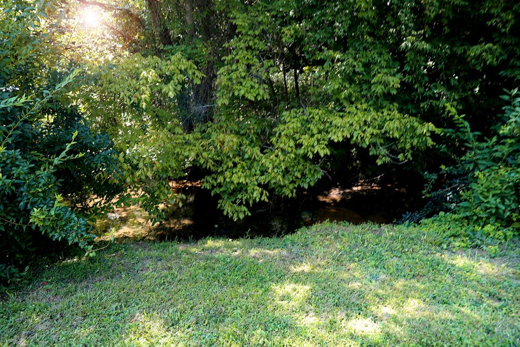 219 Old Quarry Road Saltville, VA 24370 - Photo 10 of 35 Gallery Image 10