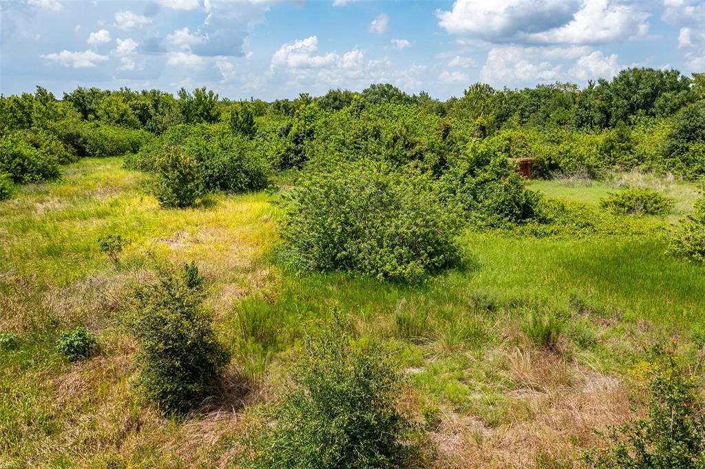 10800 Bill Tucker Road Wimauma, FL 33598 - Photo 9 of 9 a view of a bunch of trees and bushes