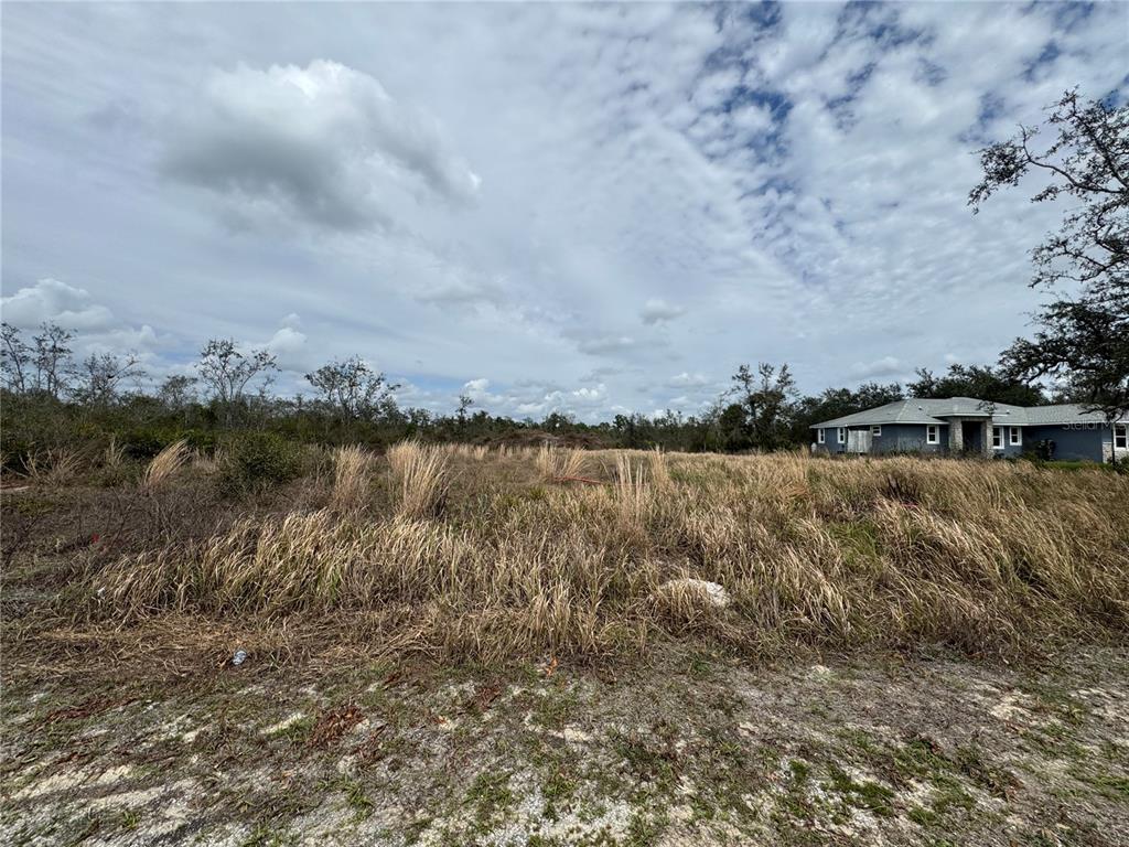 8500 Southwest Aviary Road Arcadia, FL 34269 - Photo 3 of 5