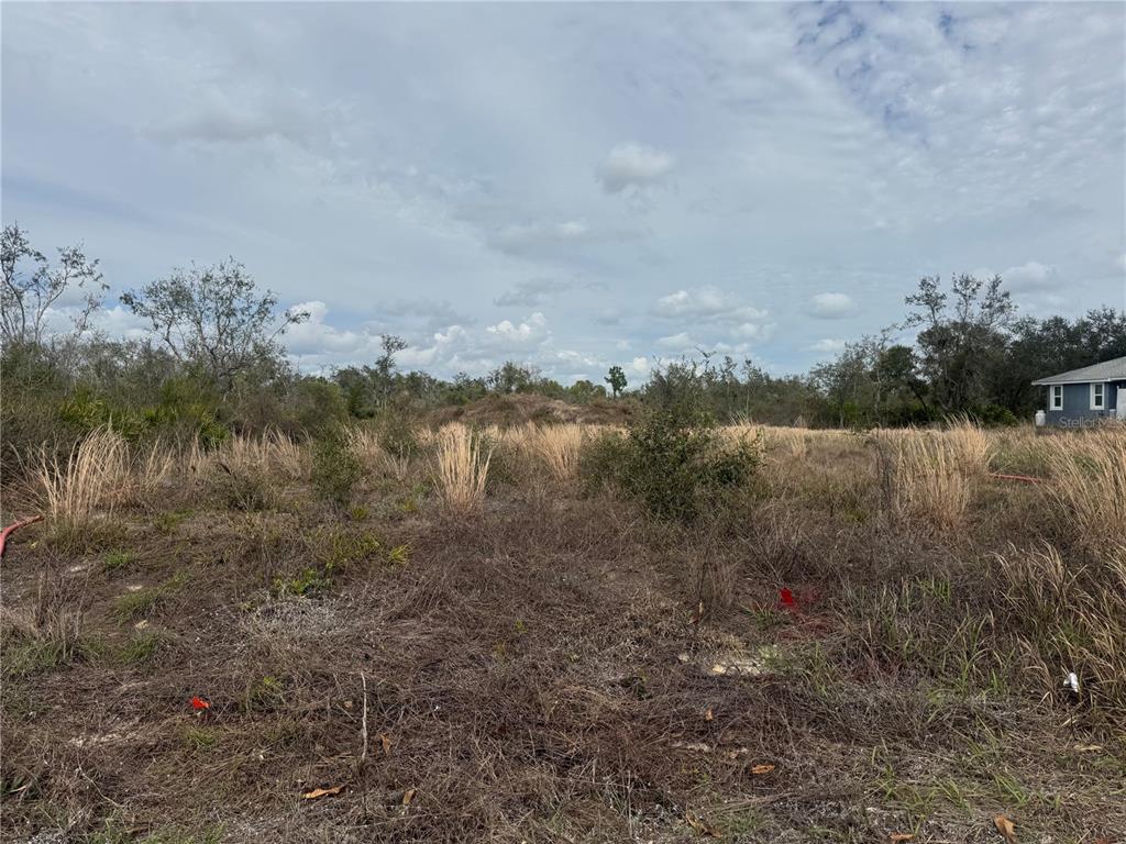 8500 Southwest Aviary Road Arcadia, FL 34269 - Photo 4 of 5
