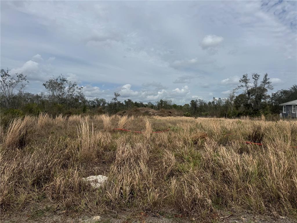 8500 Southwest Aviary Road Arcadia, FL 34269 - Photo 5 of 5