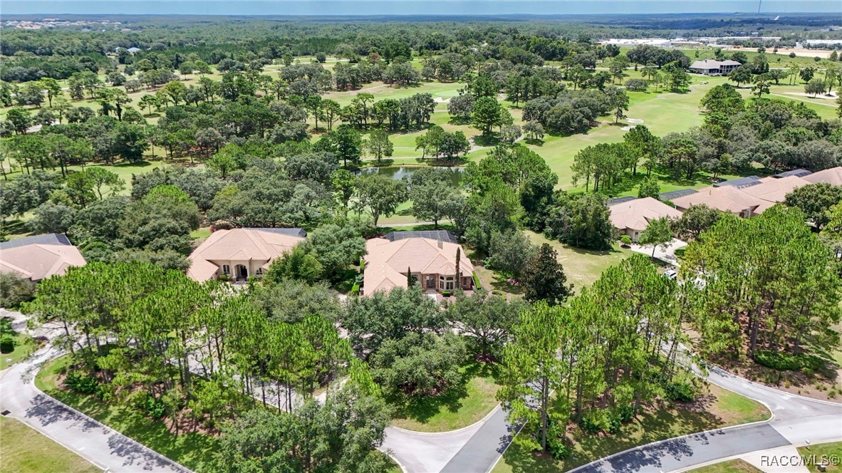 3165 West Wentworth Loop Lecanto, FL 34461 - Photo 78 of 92
