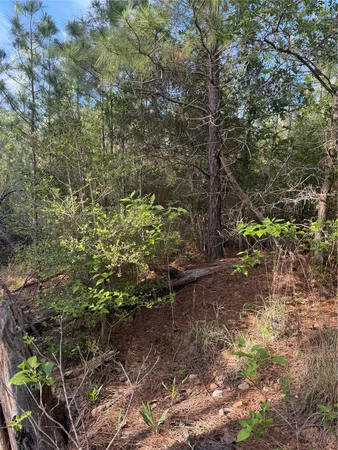 $35,000 | Lot 1384 South Pahihi Drive, Bastrop, TX 78602