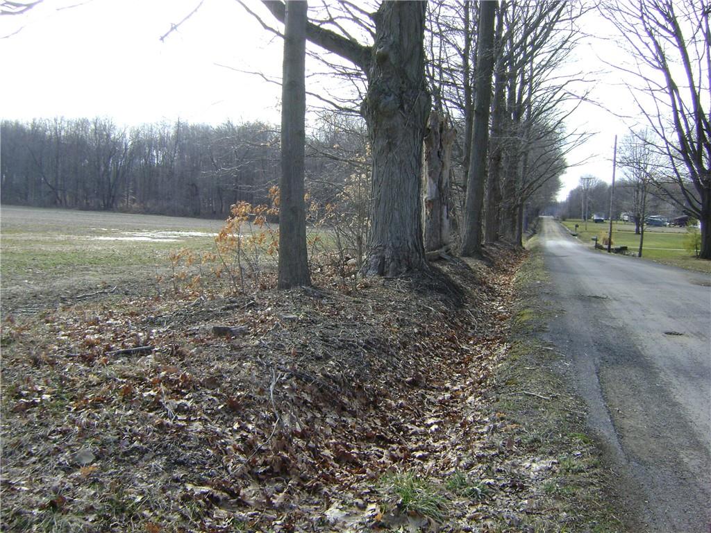 114 Royal Road Jamestown, PA 16134 - Photo 13 of 18 Gallery Image 13