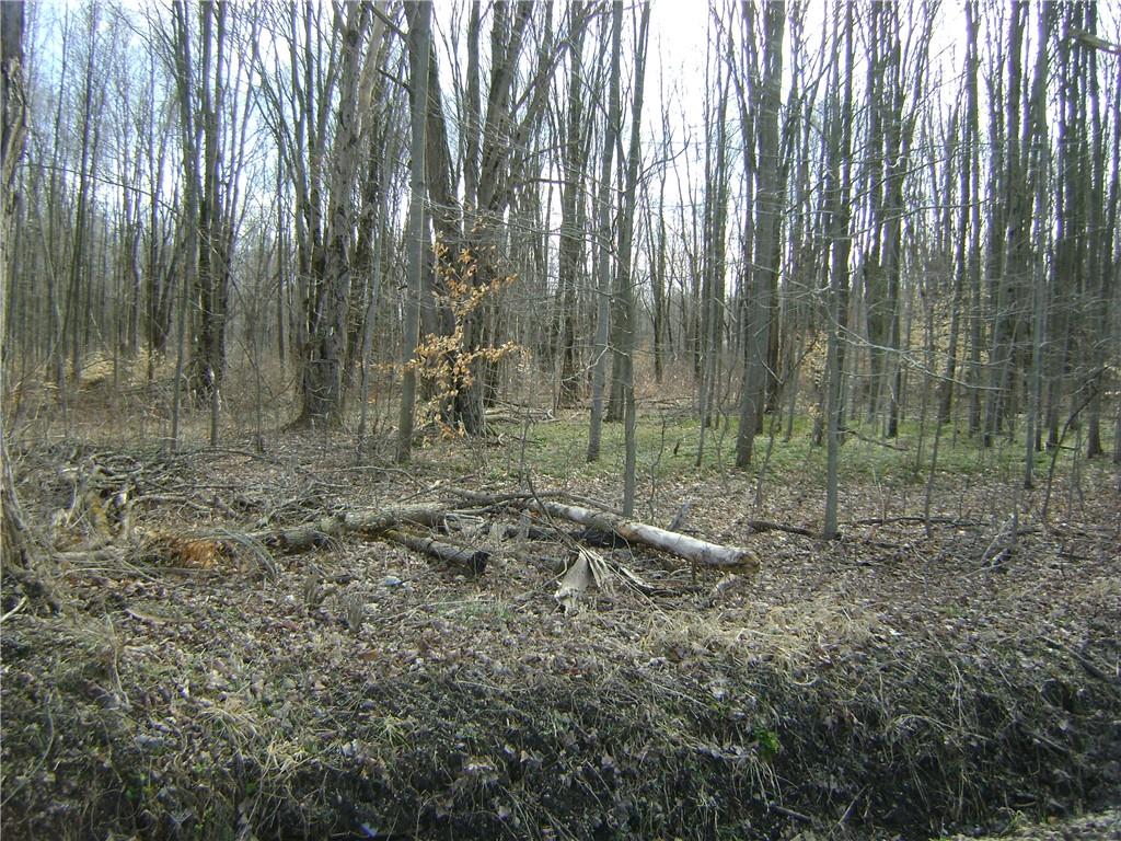114 Royal Road Jamestown, PA 16134 - Photo 16 of 18 Gallery Image 16