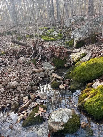 $38,000 | 1 Dusty Road, Cadet, MO 63630