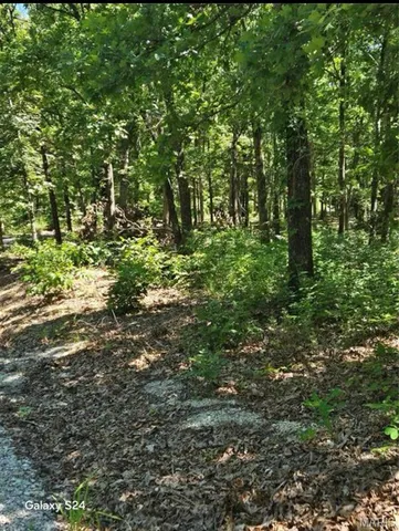 $38,000 | 1 Dusty Road, Cadet, MO 63630