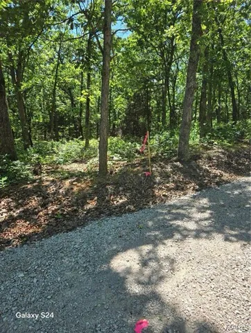 $38,000 | 1 Dusty Road, Cadet, MO 63630