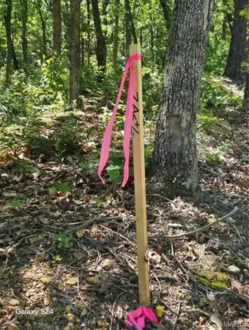 $38,000 | 1 Dusty Road, Cadet, MO 63630