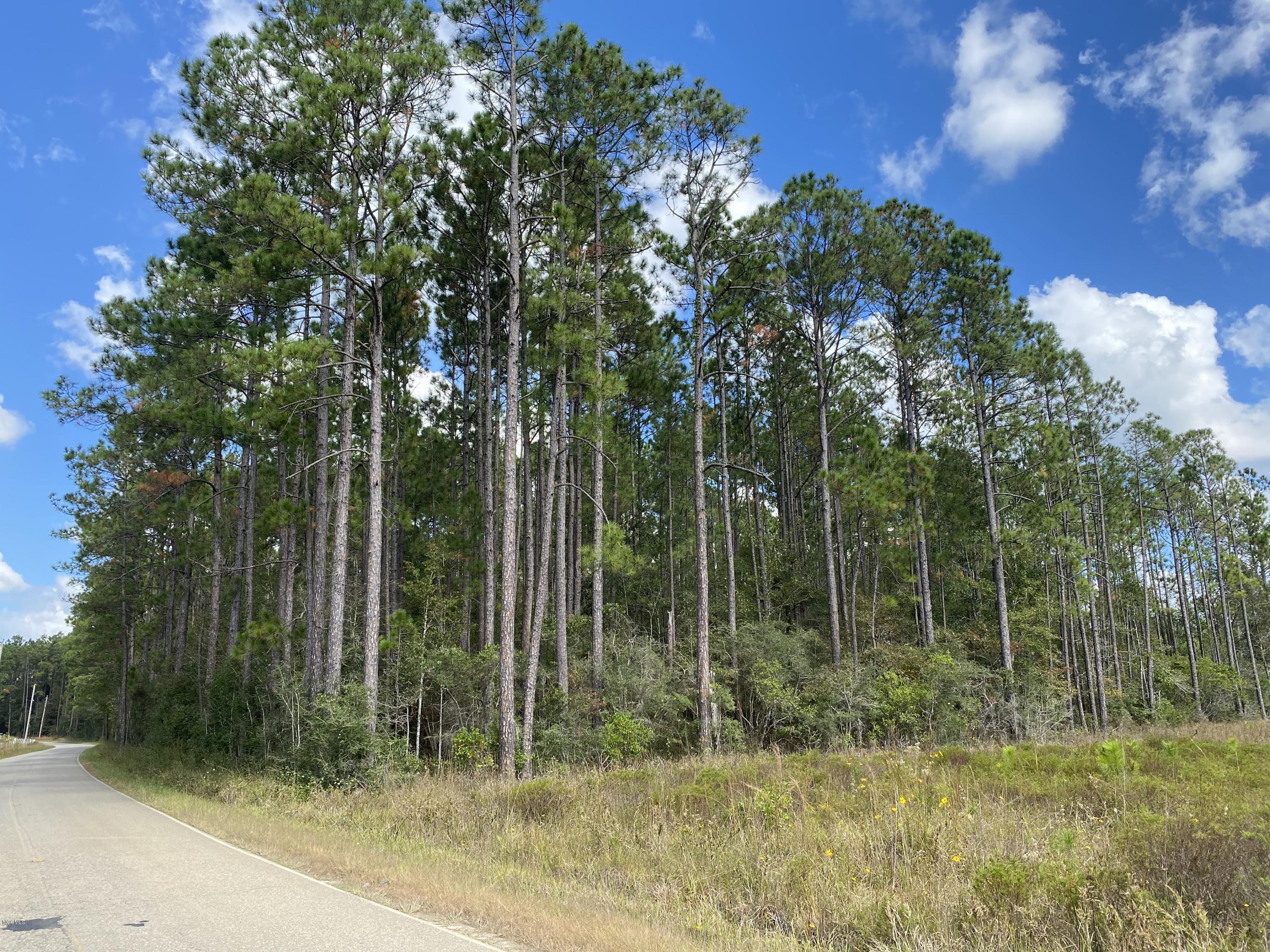 0 Fox Trail Road Picayune, MS 39466 - Photo 1 of 3 IMG_1471