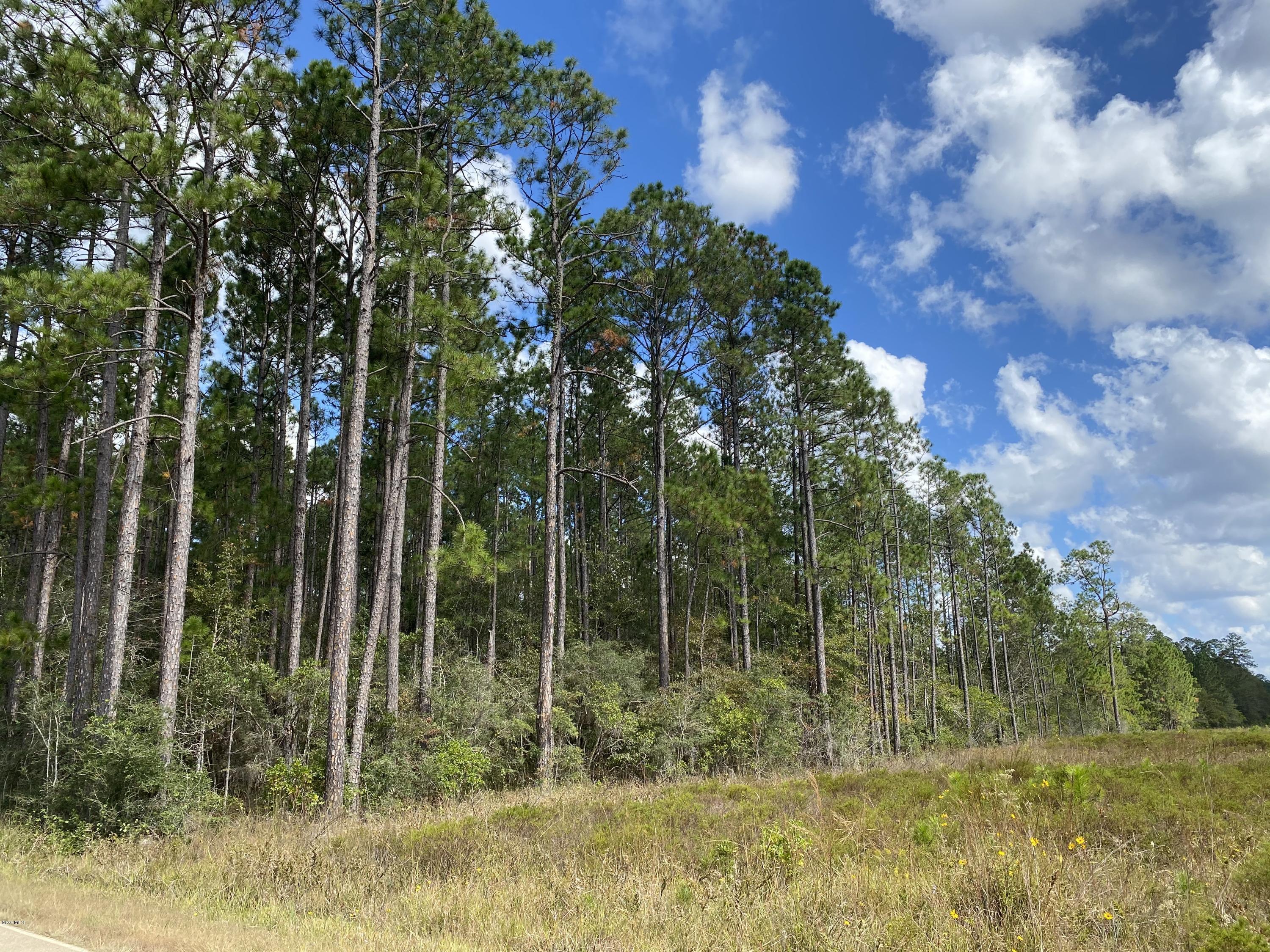 0 Fox Trail Road Picayune, MS 39466 - Photo 2 of 3 IMG_1472