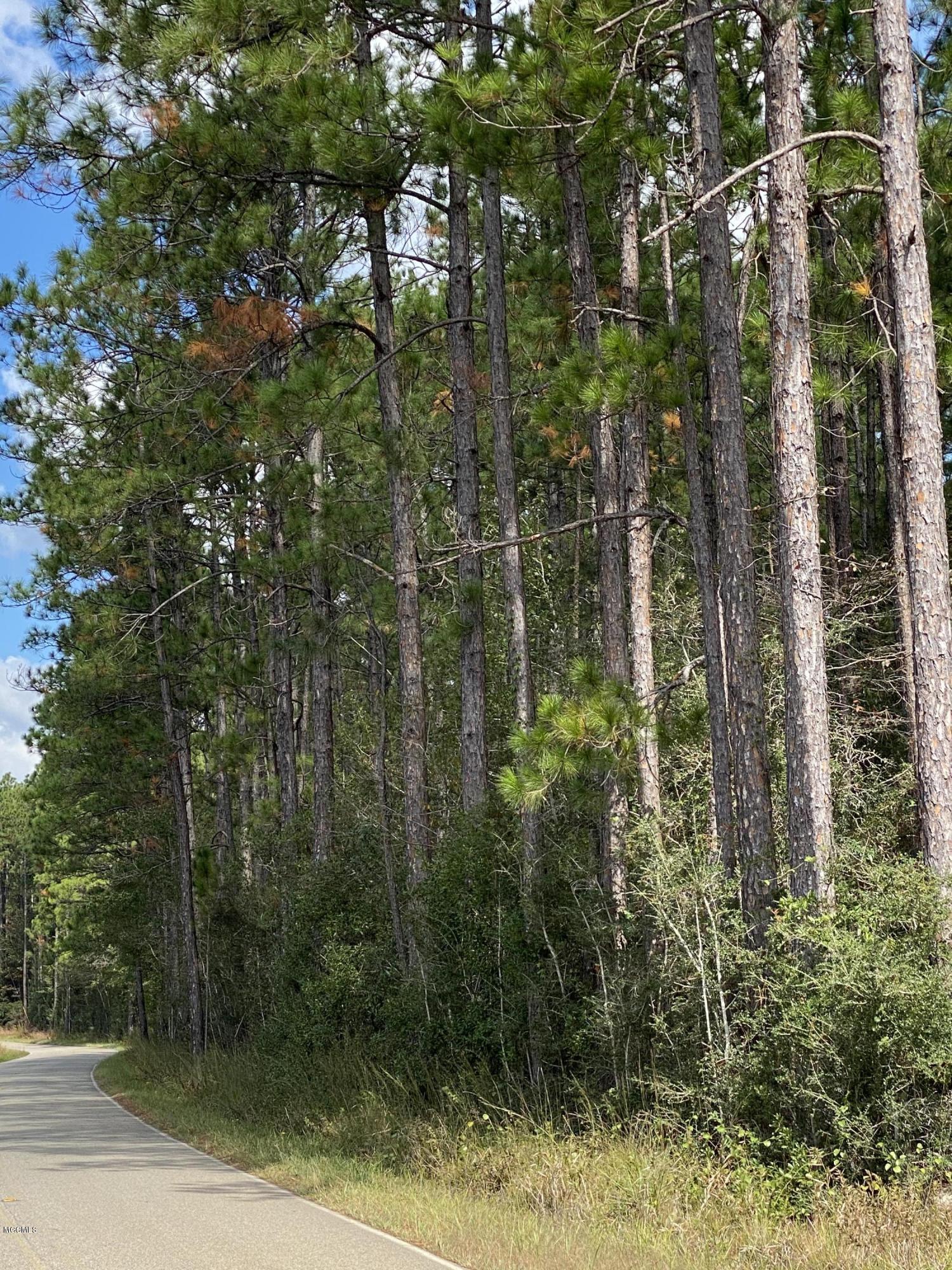 0 Fox Trail Road Picayune, MS 39466 - Photo 3 of 3 IMG_1473
