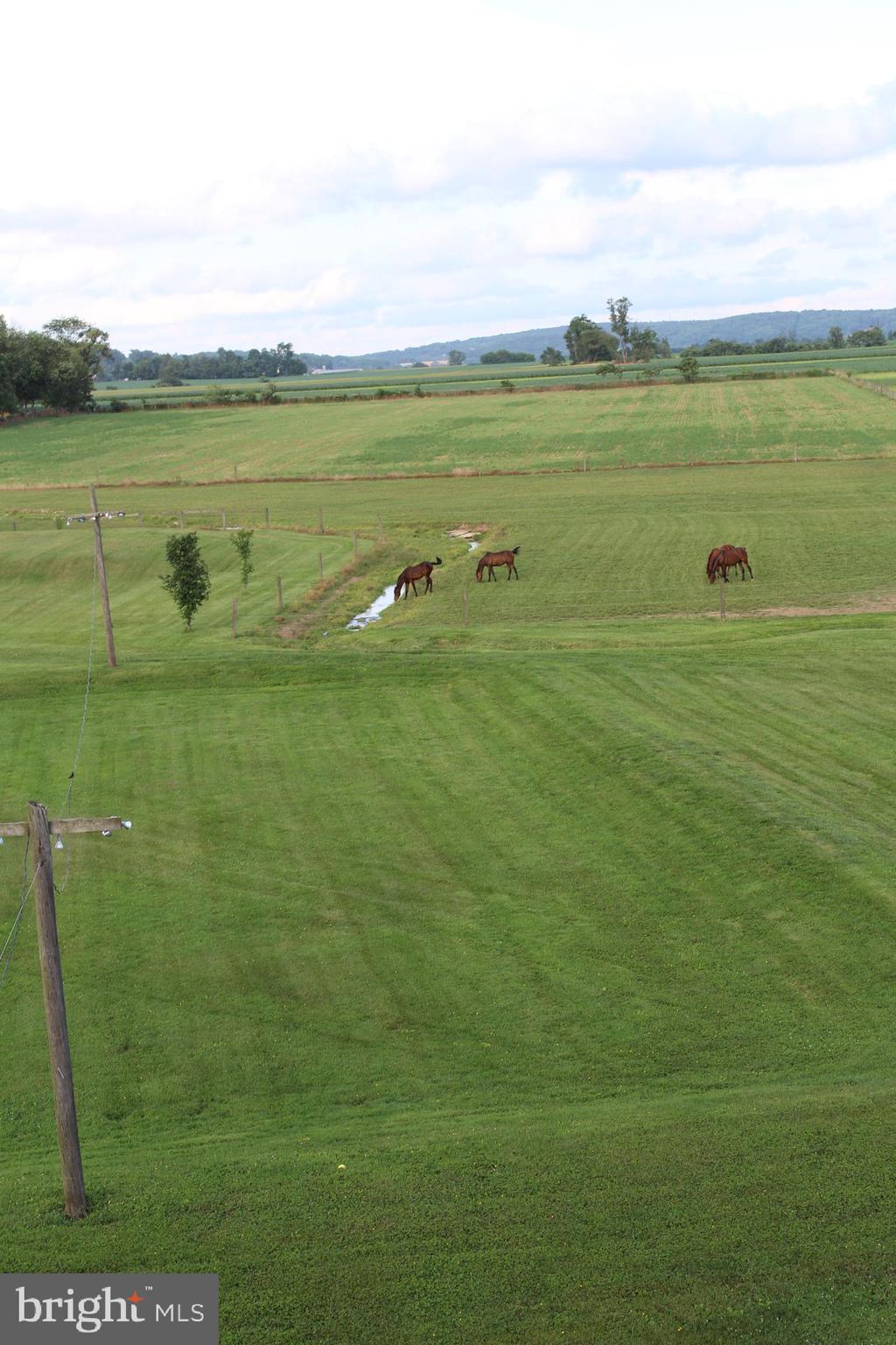 273 Springville Road New Holland, PA 17557 - Photo 56 of 84