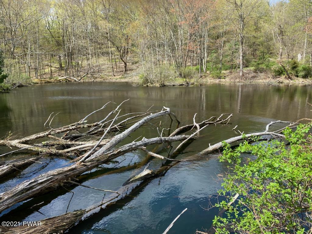 4-5 Park Road Dingmans Ferry, PA 18328 - Photo 8 of 13