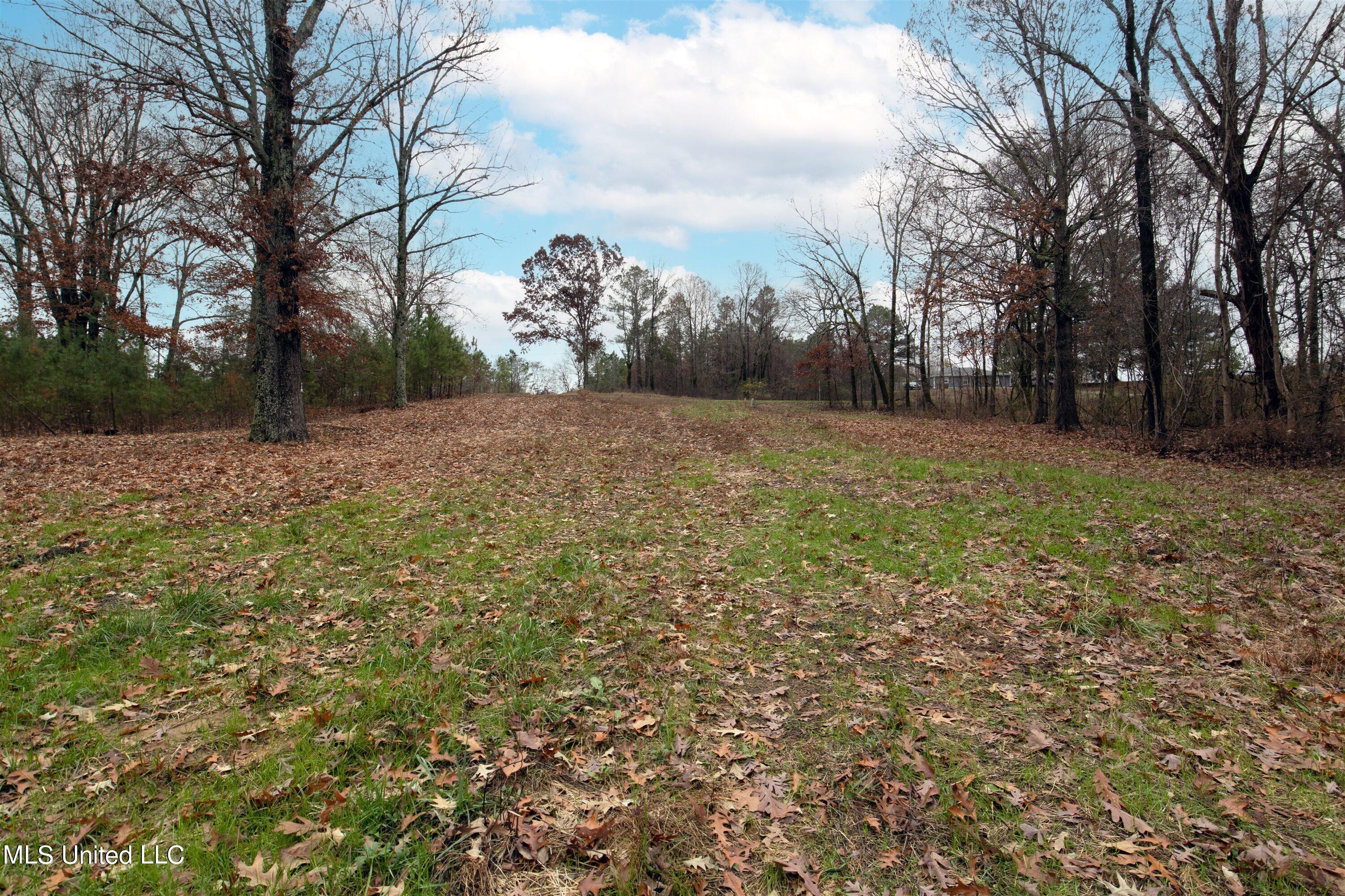 13190 Fairview Road Byhalia, MS 38611 - Photo 11 of 14 11-IMG_8409
