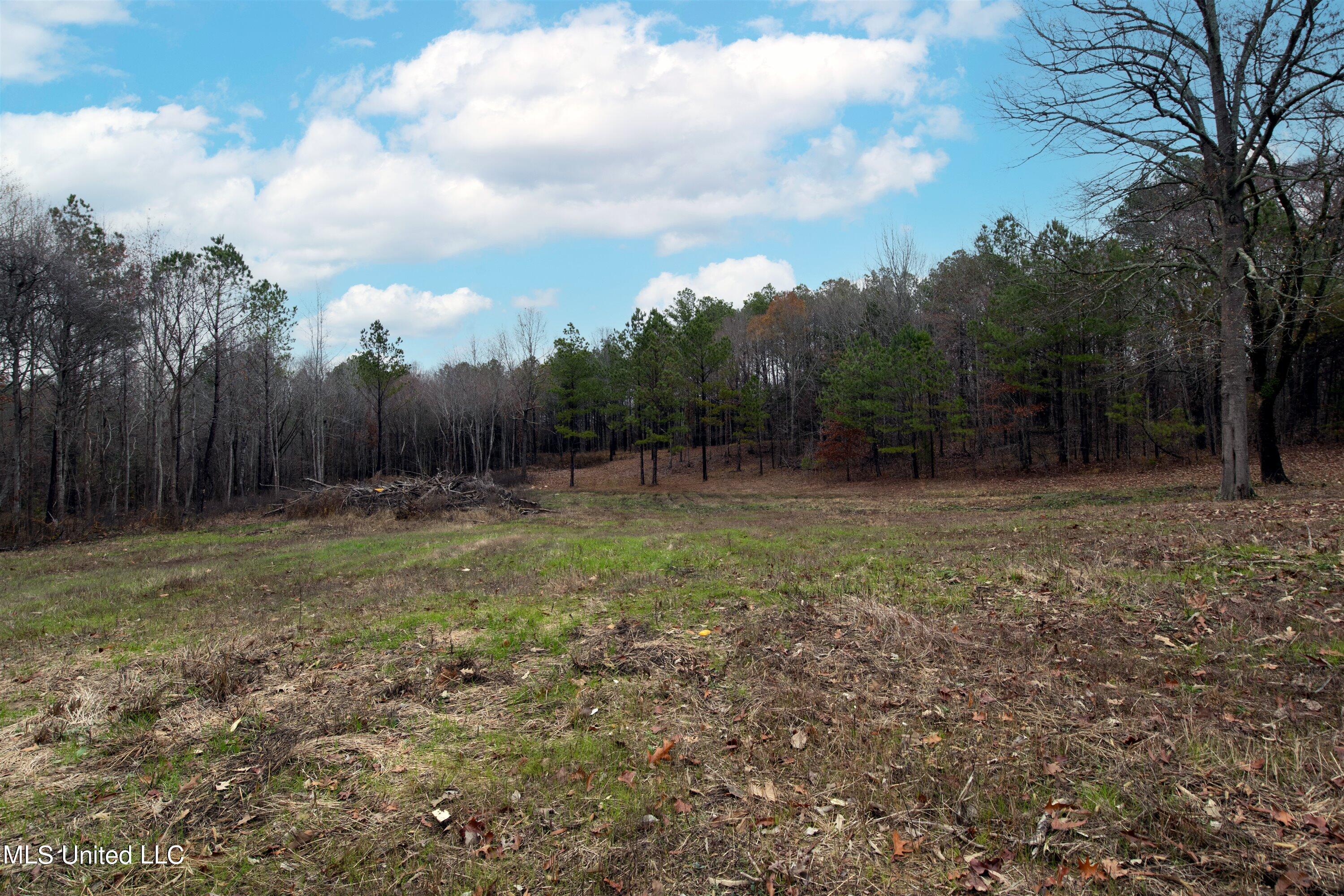 13190 Fairview Road Byhalia, MS 38611 - Photo 12 of 14 12-IMG_8410