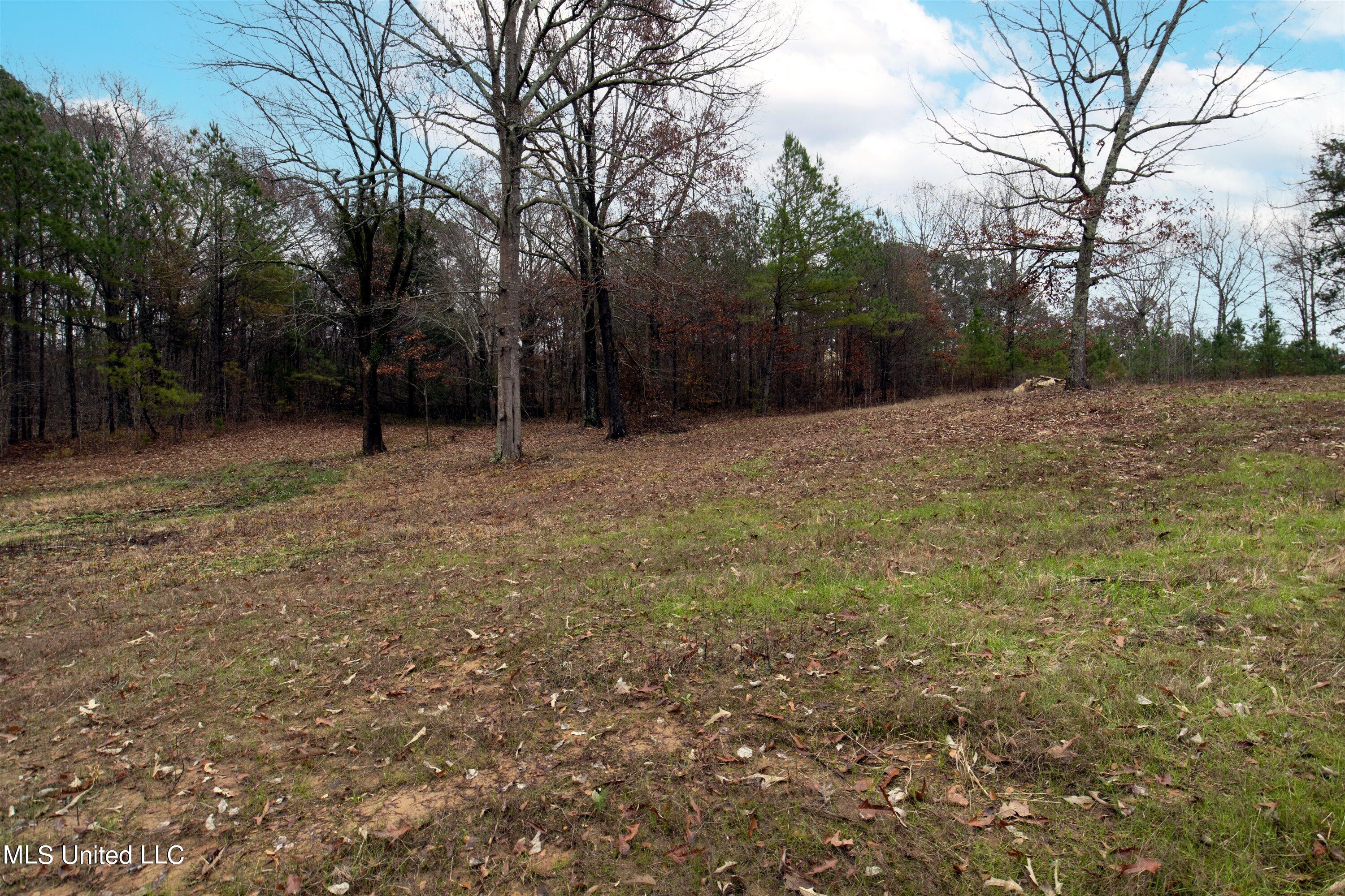 13190 Fairview Road Byhalia, MS 38611 - Photo 13 of 14 13-IMG_8411