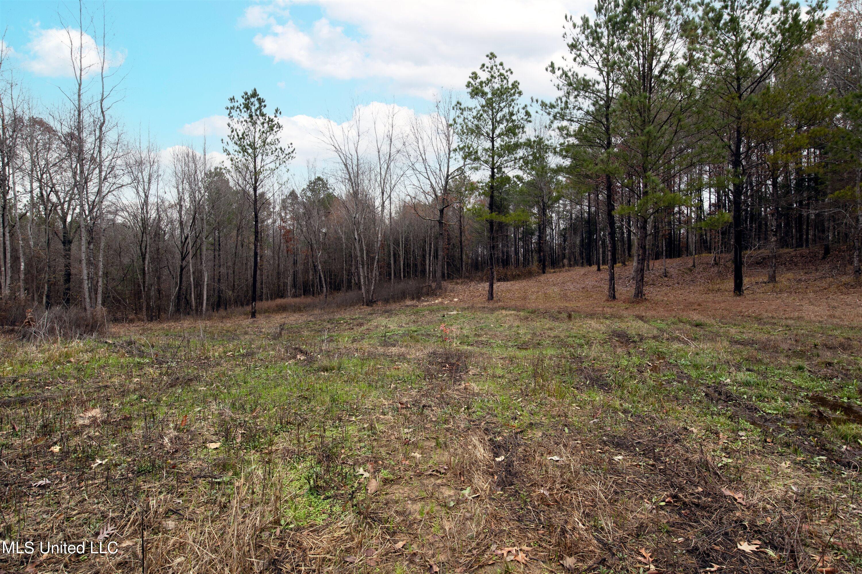 13190 Fairview Road Byhalia, MS 38611 - Photo 14 of 14 14-IMG_8412