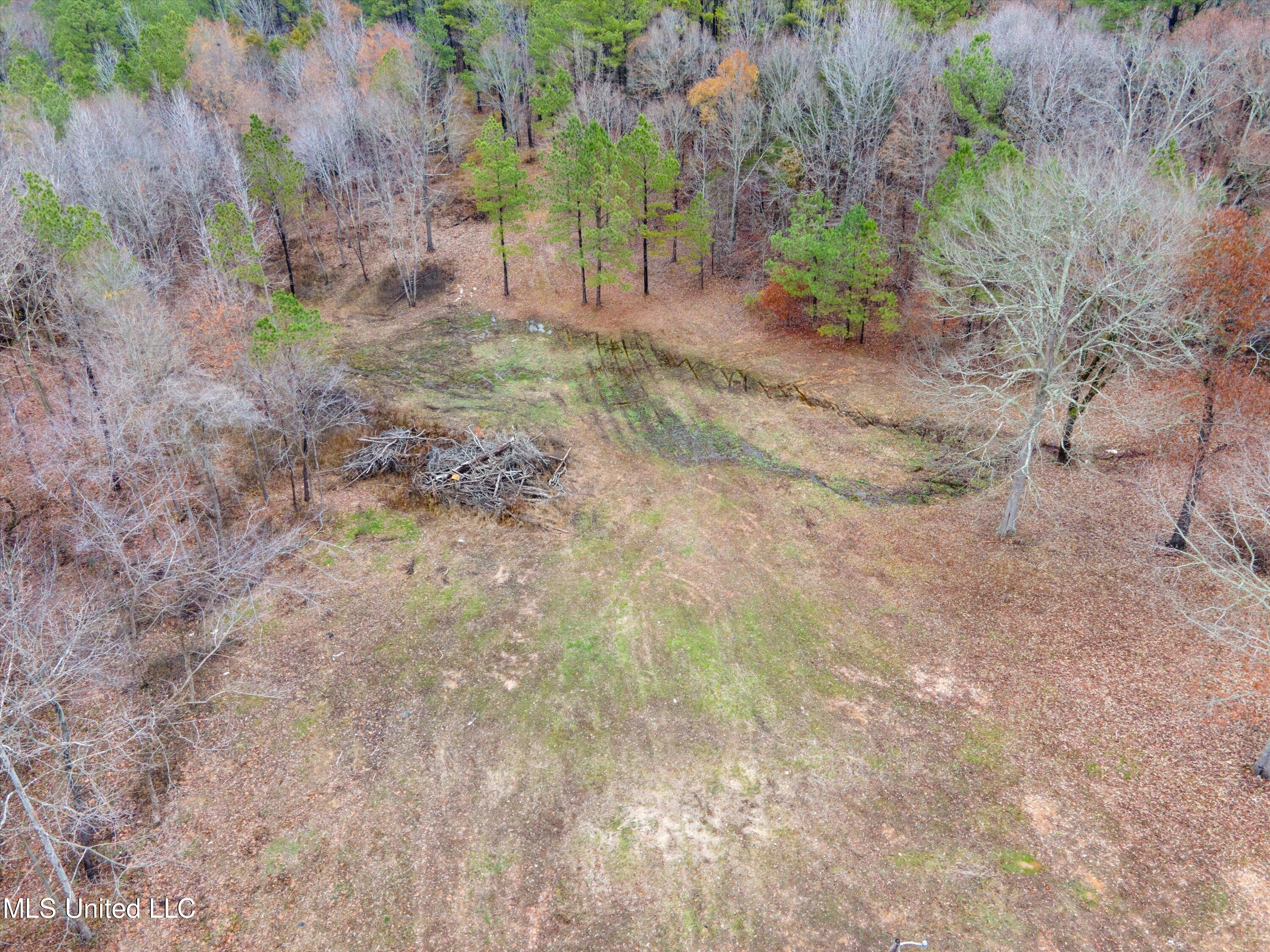 13190 Fairview Road Byhalia, MS 38611 - Photo 3 of 14 03-DJI_0019