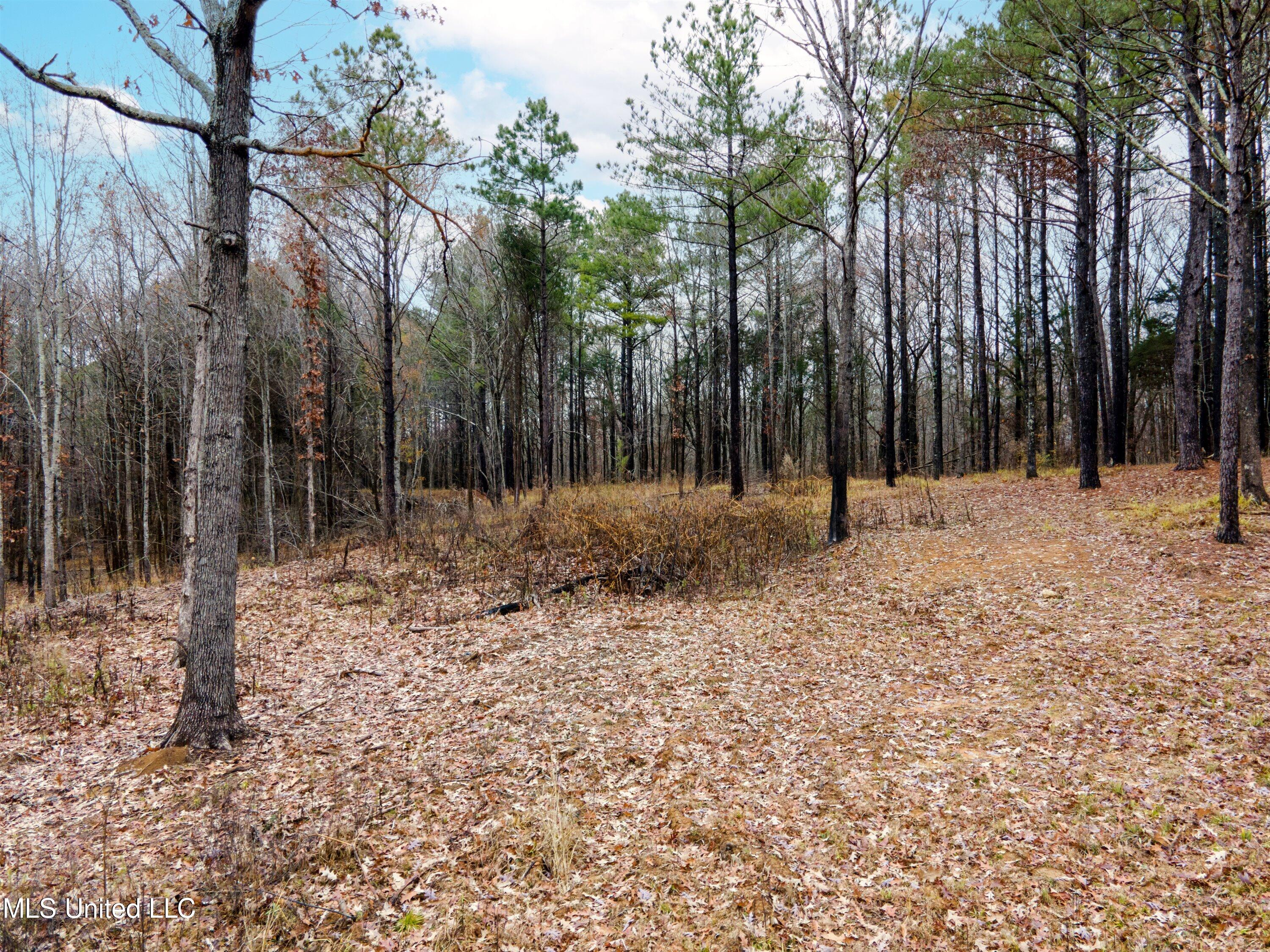 13190 Fairview Road Byhalia, MS 38611 - Photo 4 of 14 04-DJI_0022