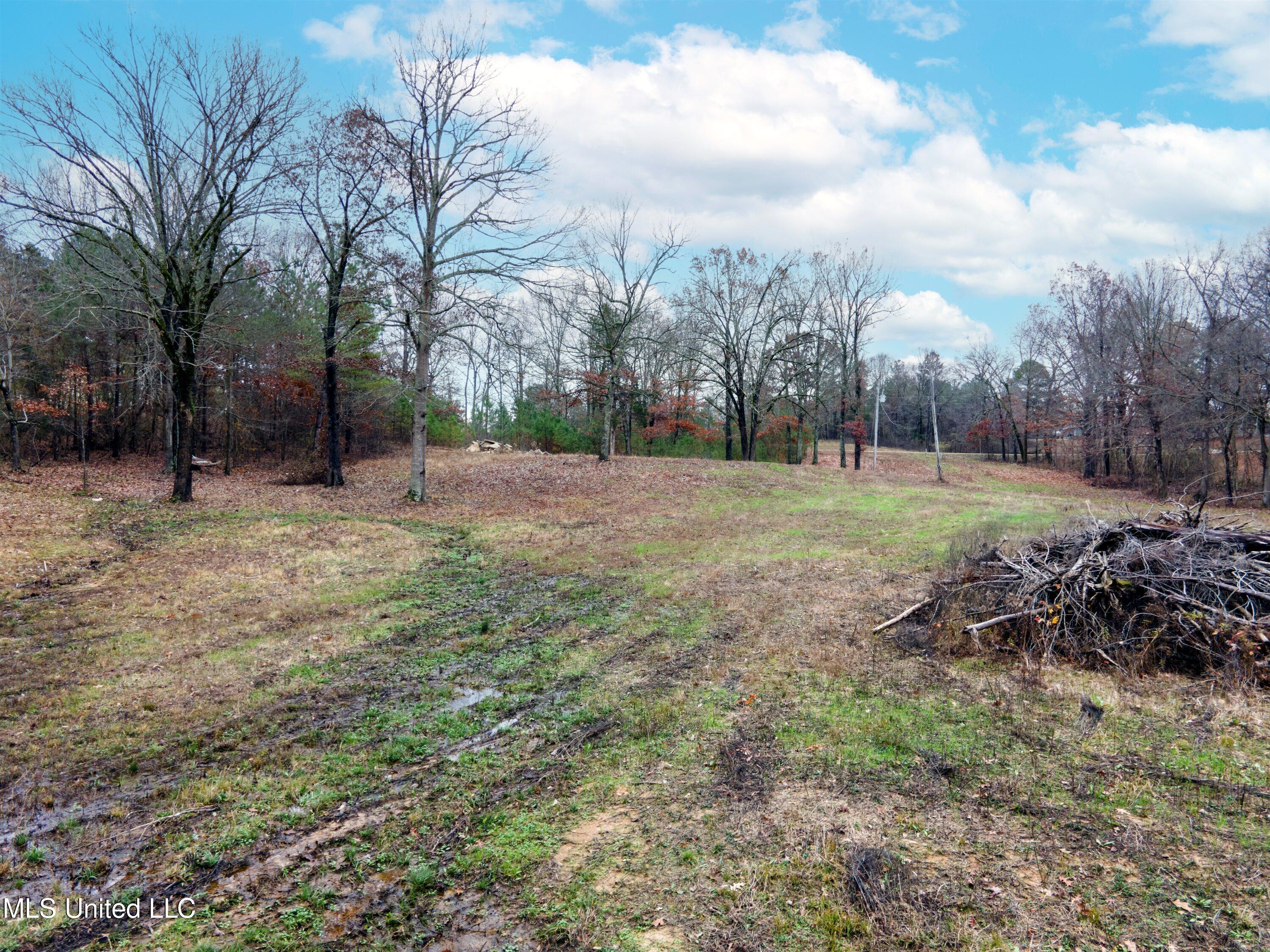13190 Fairview Road Byhalia, MS 38611 - Photo 5 of 14 05-DJI_0023
