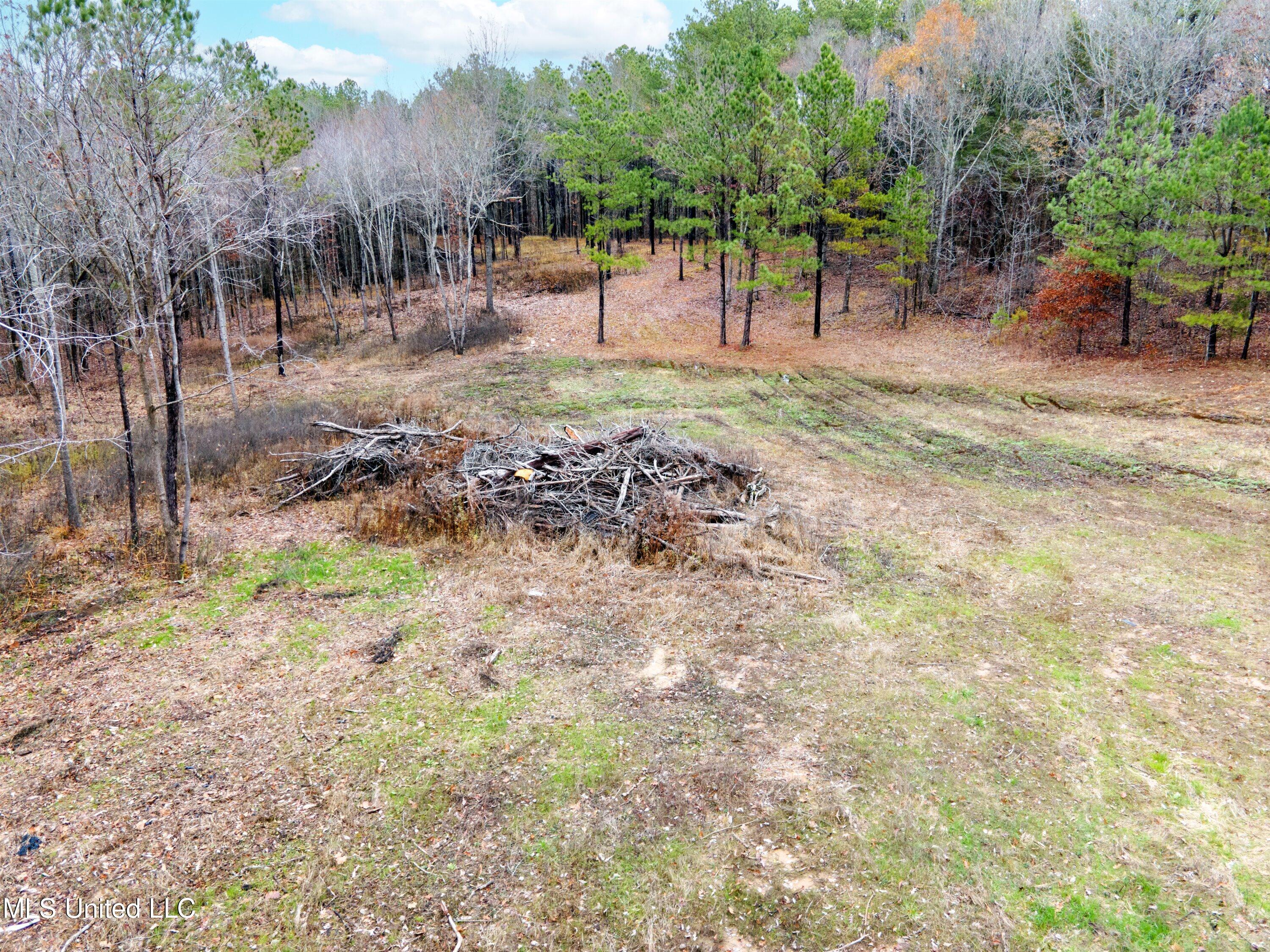 13190 Fairview Road Byhalia, MS 38611 - Photo 7 of 14 07-DJI_0027