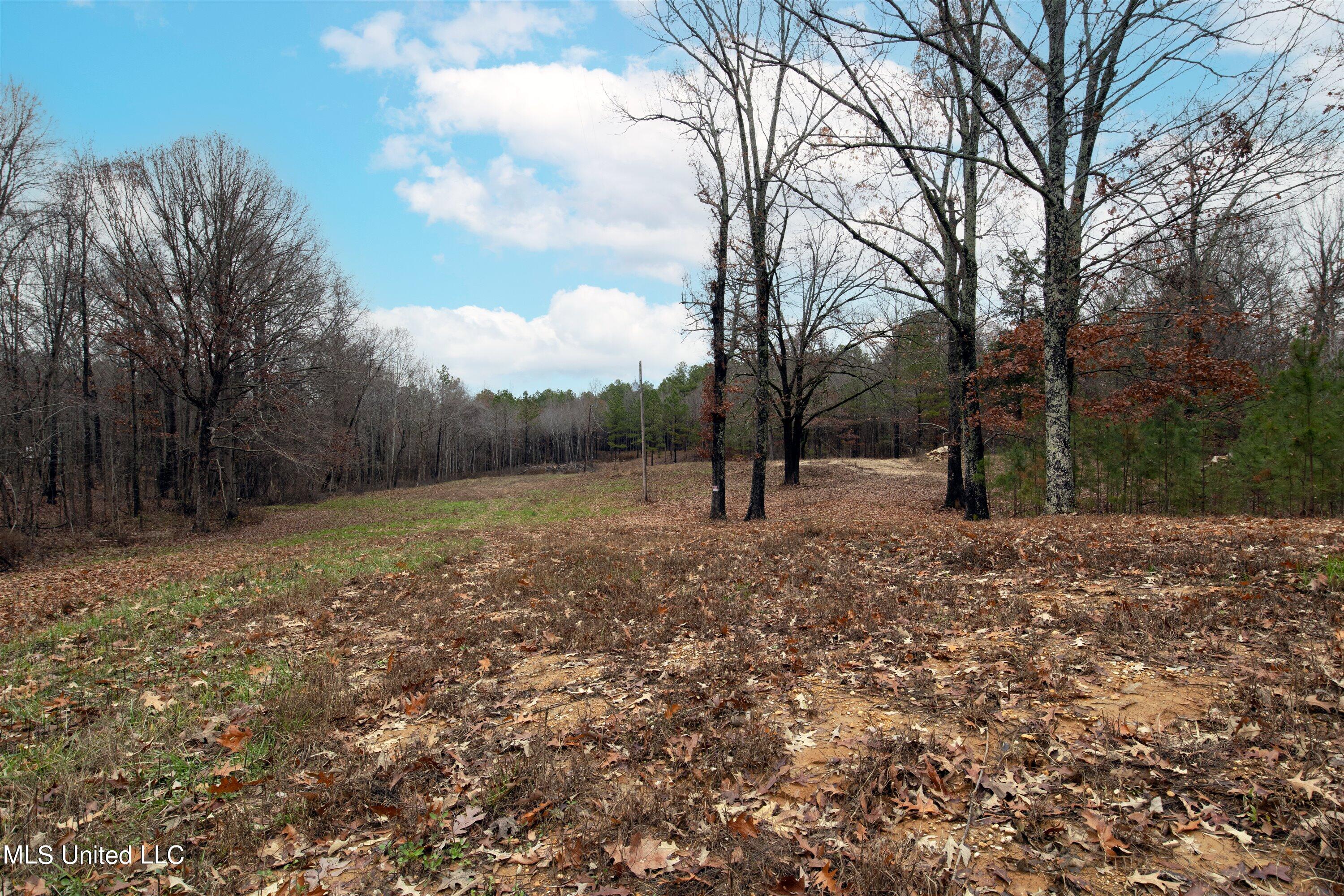 13190 Fairview Road Byhalia, MS 38611 - Photo 9 of 14 09-IMG_8407