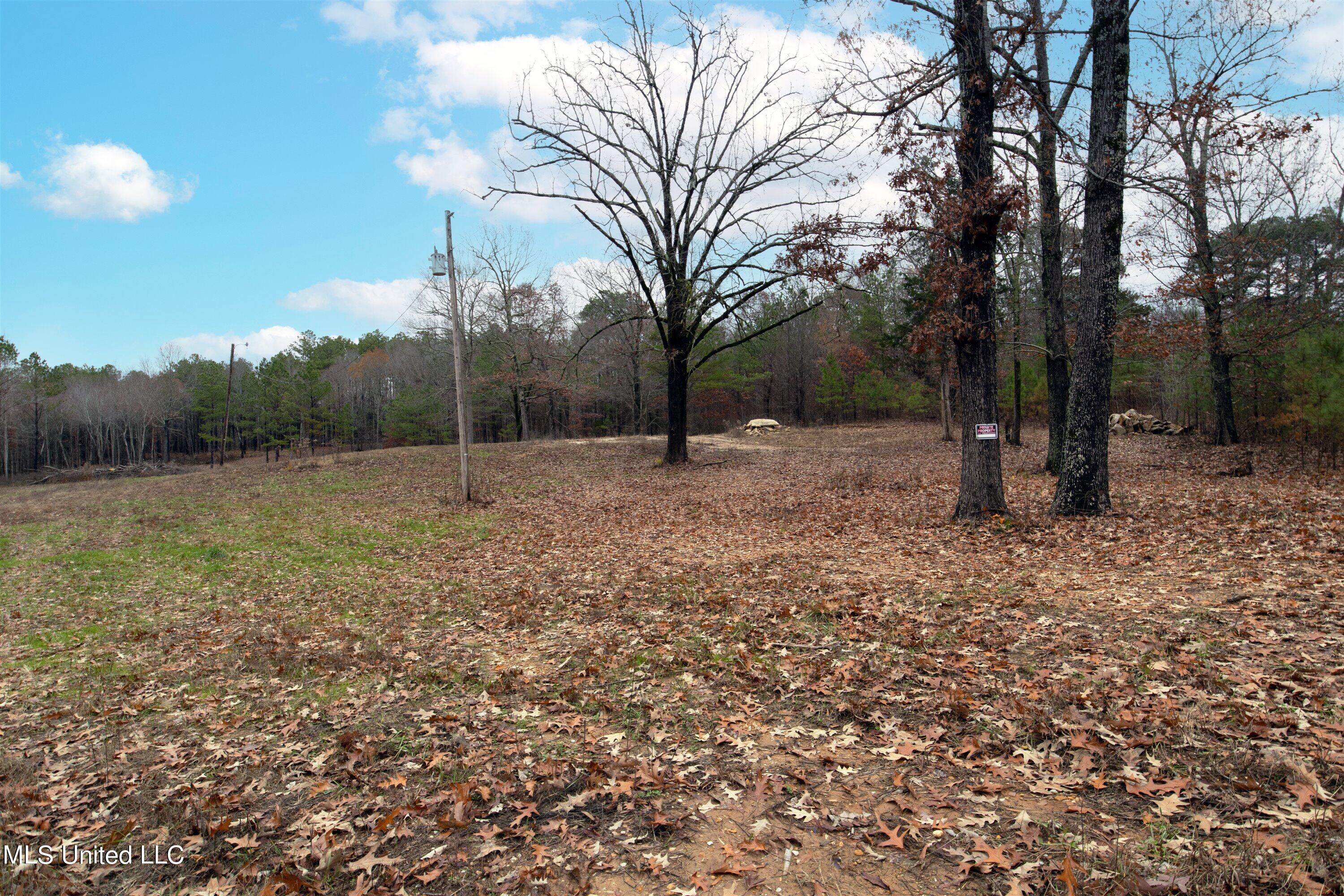 13190 Fairview Road Byhalia, MS 38611 - Photo 10 of 14 10-IMG_8408