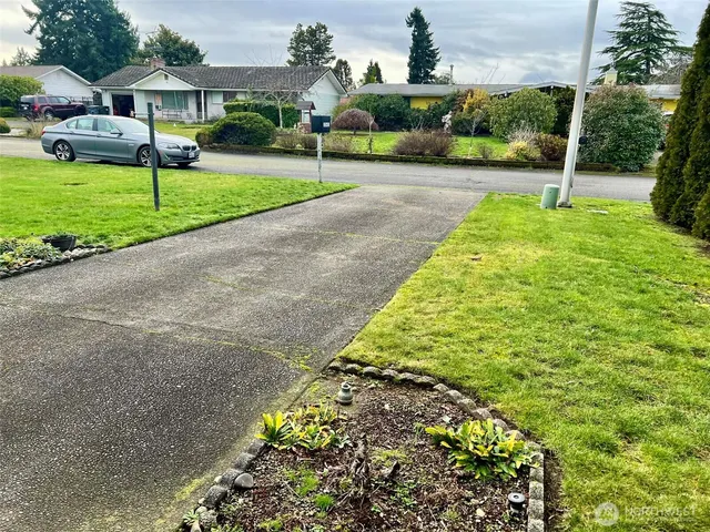 a view of a park with large trees
