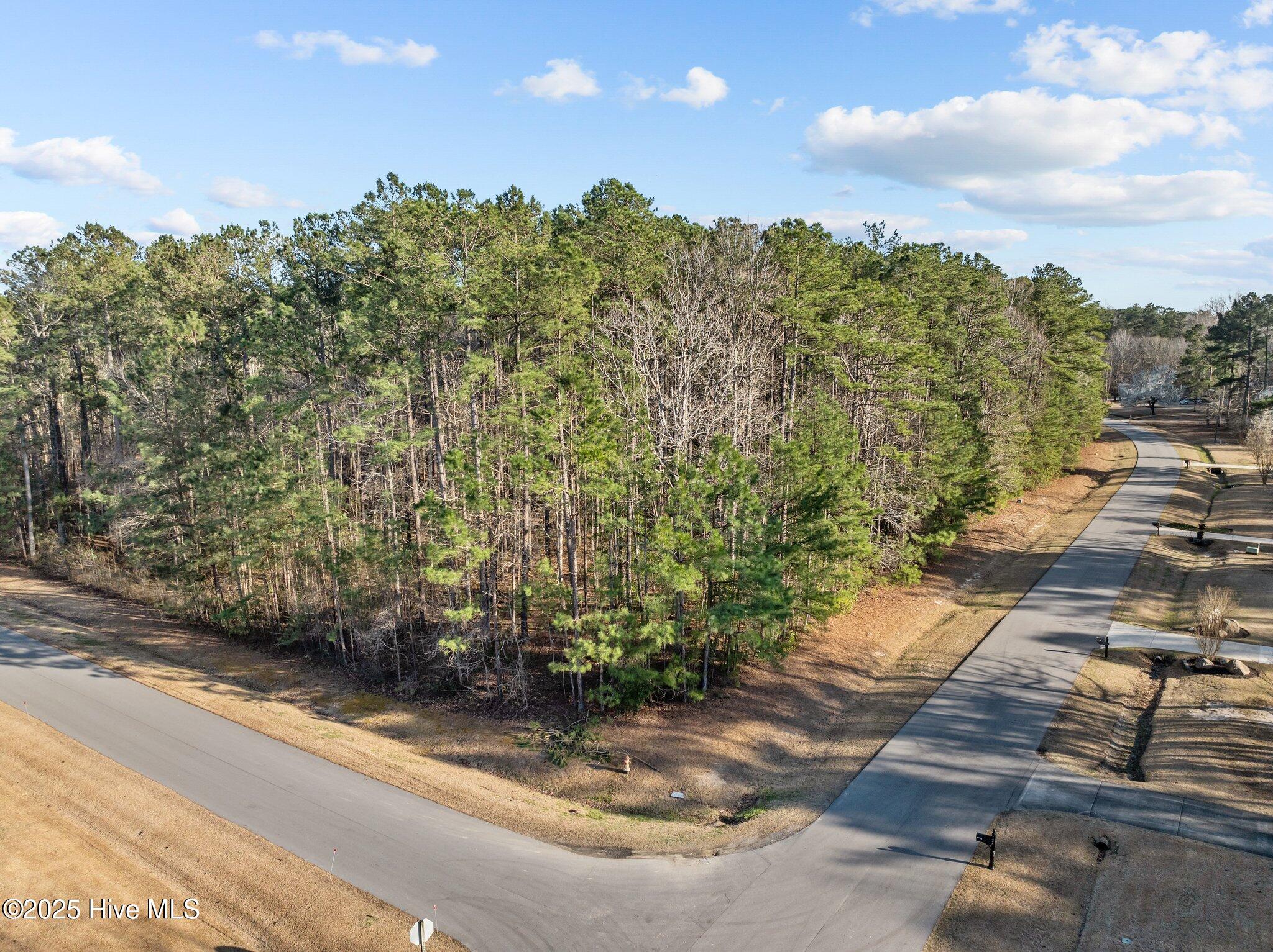 118 Wildflower Way Pollocksville, NC 28573 - Photo 2 of 9 Lot 42 Aerial Corner