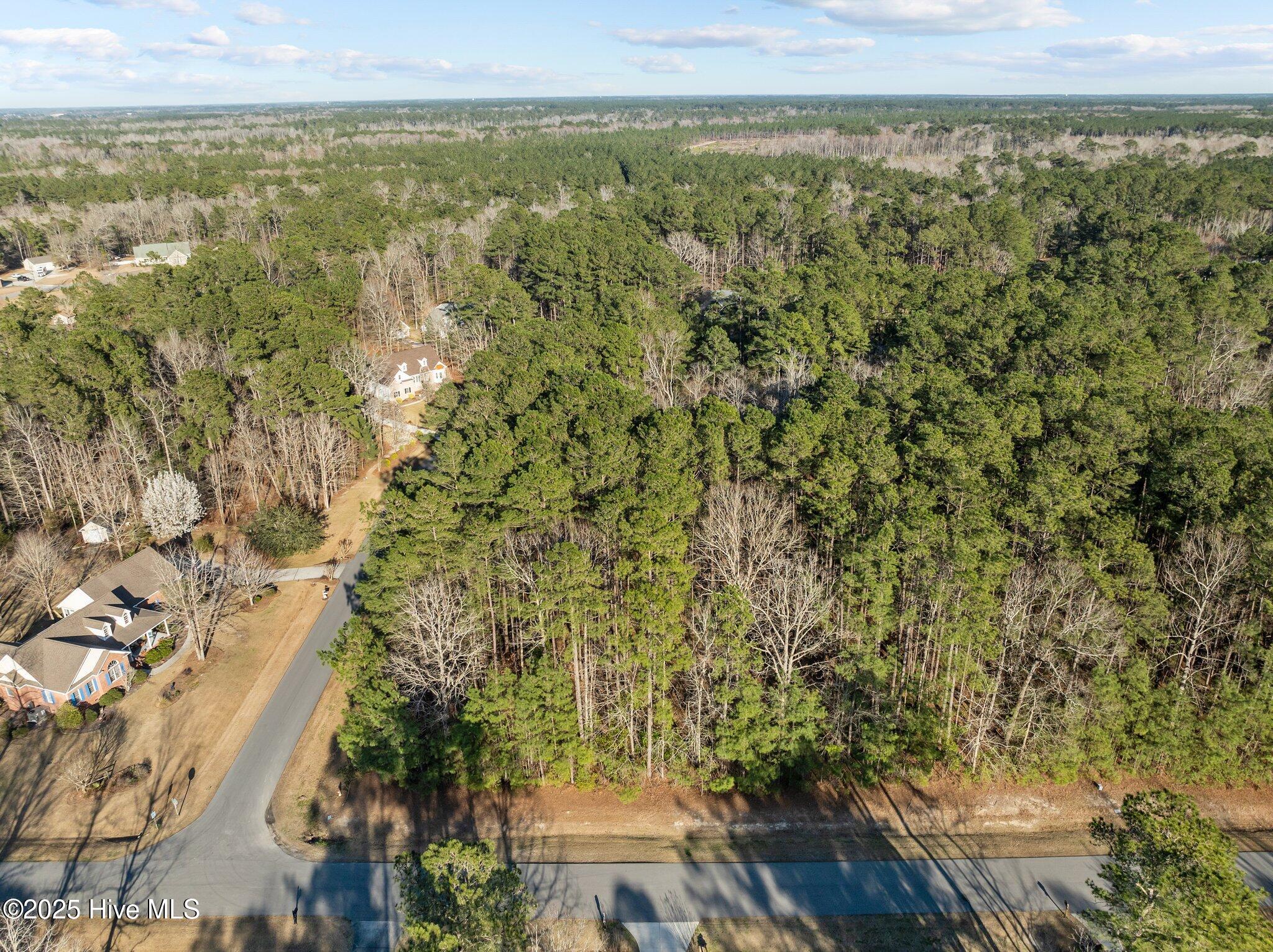 118 Wildflower Way Pollocksville, NC 28573 - Photo 3 of 9 Lot 42 Aerial Corner 2