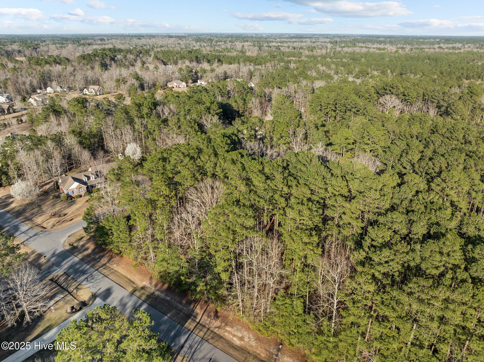 118 Wildflower Way Pollocksville, NC 28573 - Photo 4 of 9 Lot 42 Aerial Corner 3