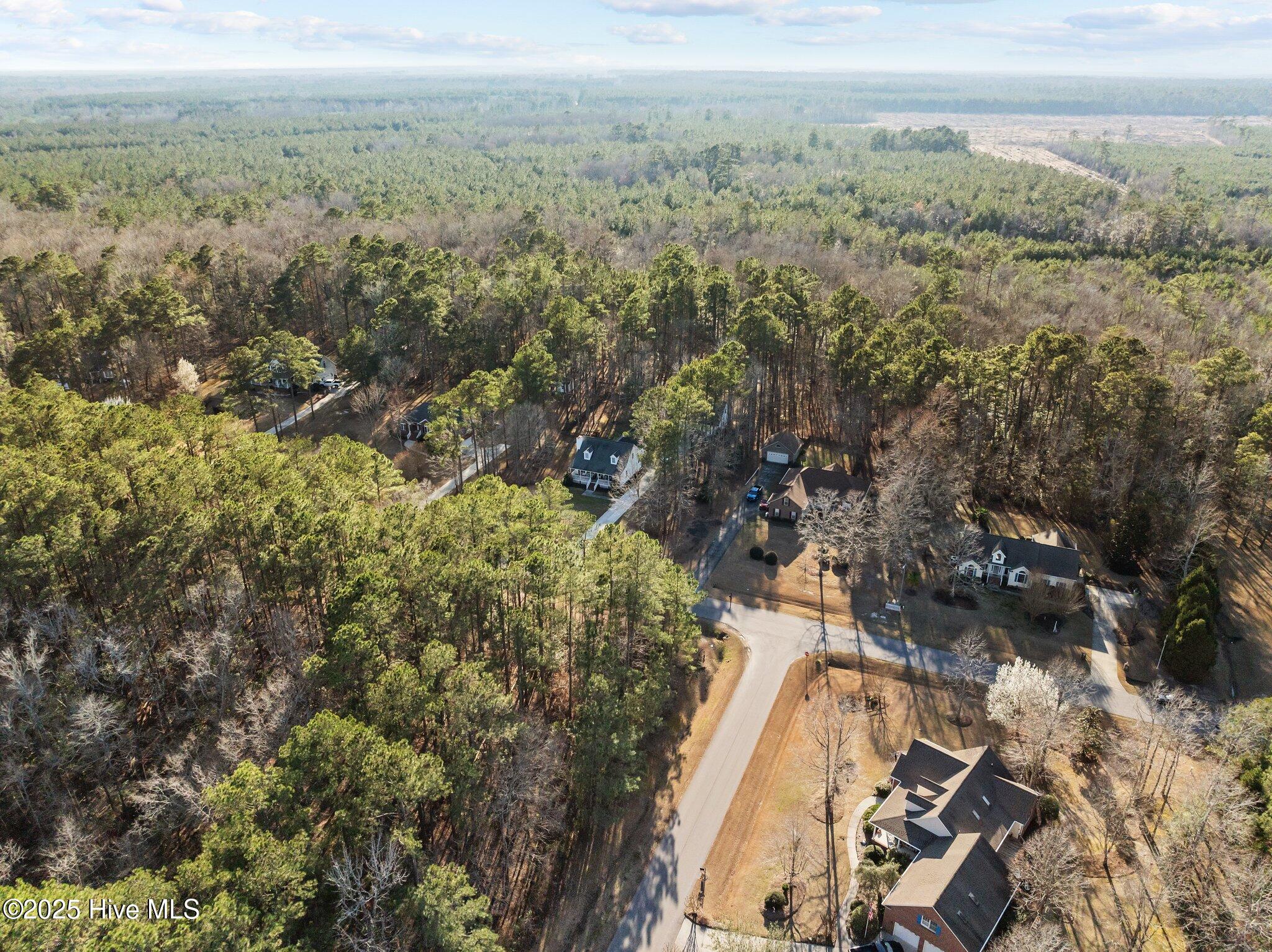 118 Wildflower Way Pollocksville, NC 28573 - Photo 5 of 9 Lot 42 Aerial Corner 4