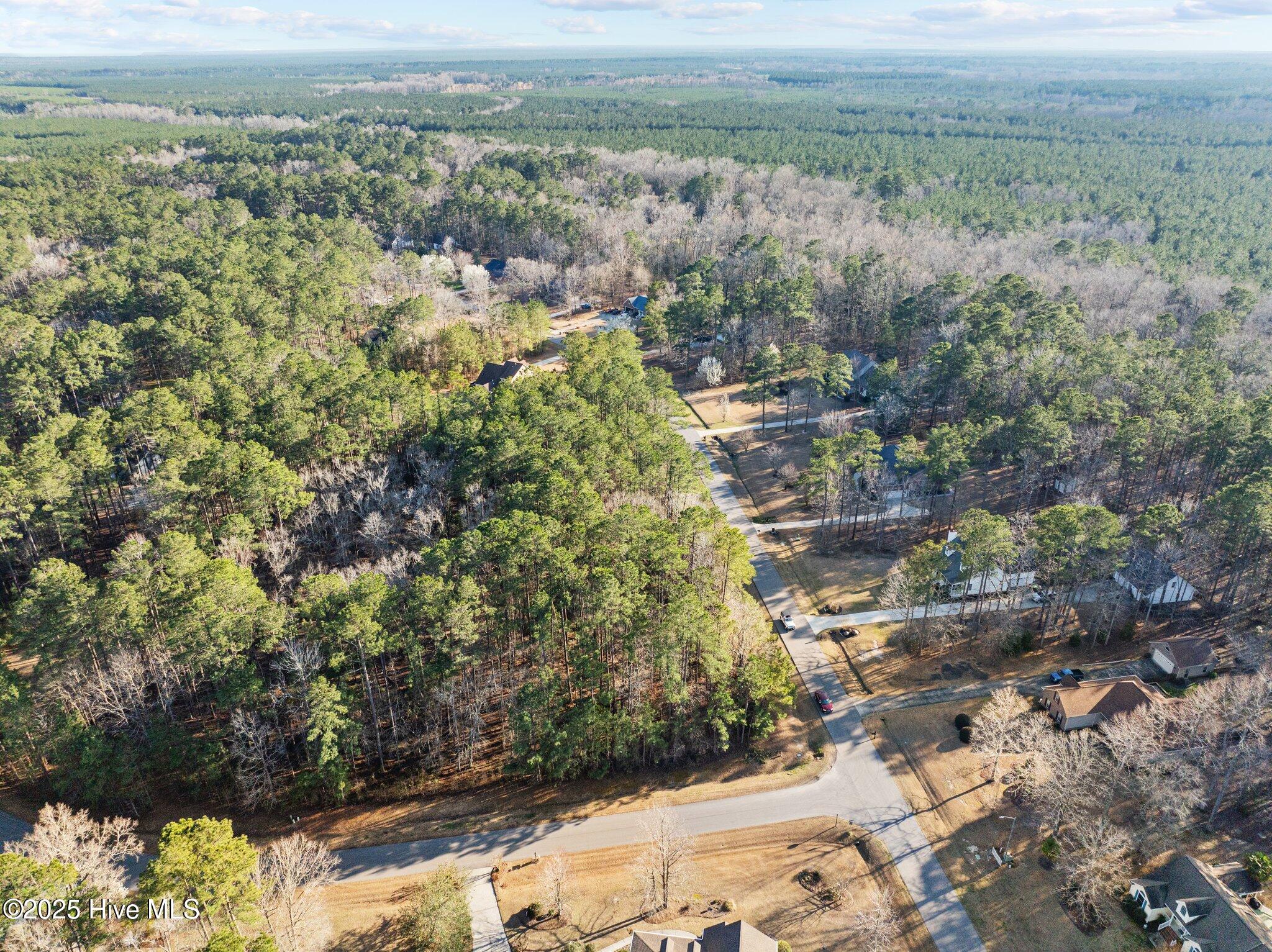 118 Wildflower Way Pollocksville, NC 28573 - Photo 6 of 9 Lot 42 Aerial Corner 5