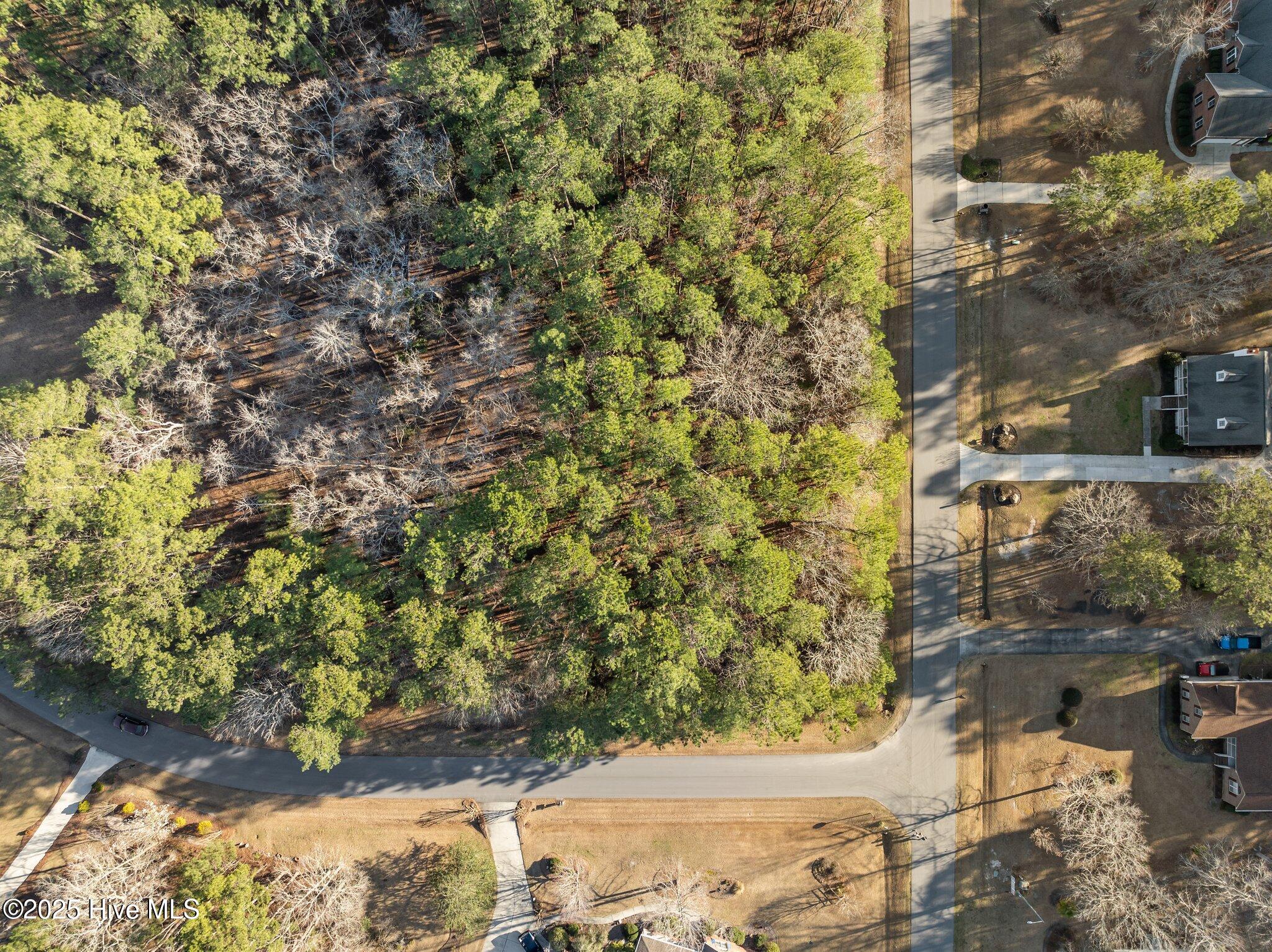 118 Wildflower Way Pollocksville, NC 28573 - Photo 7 of 9 Lot 42 Aerial Corner 6
