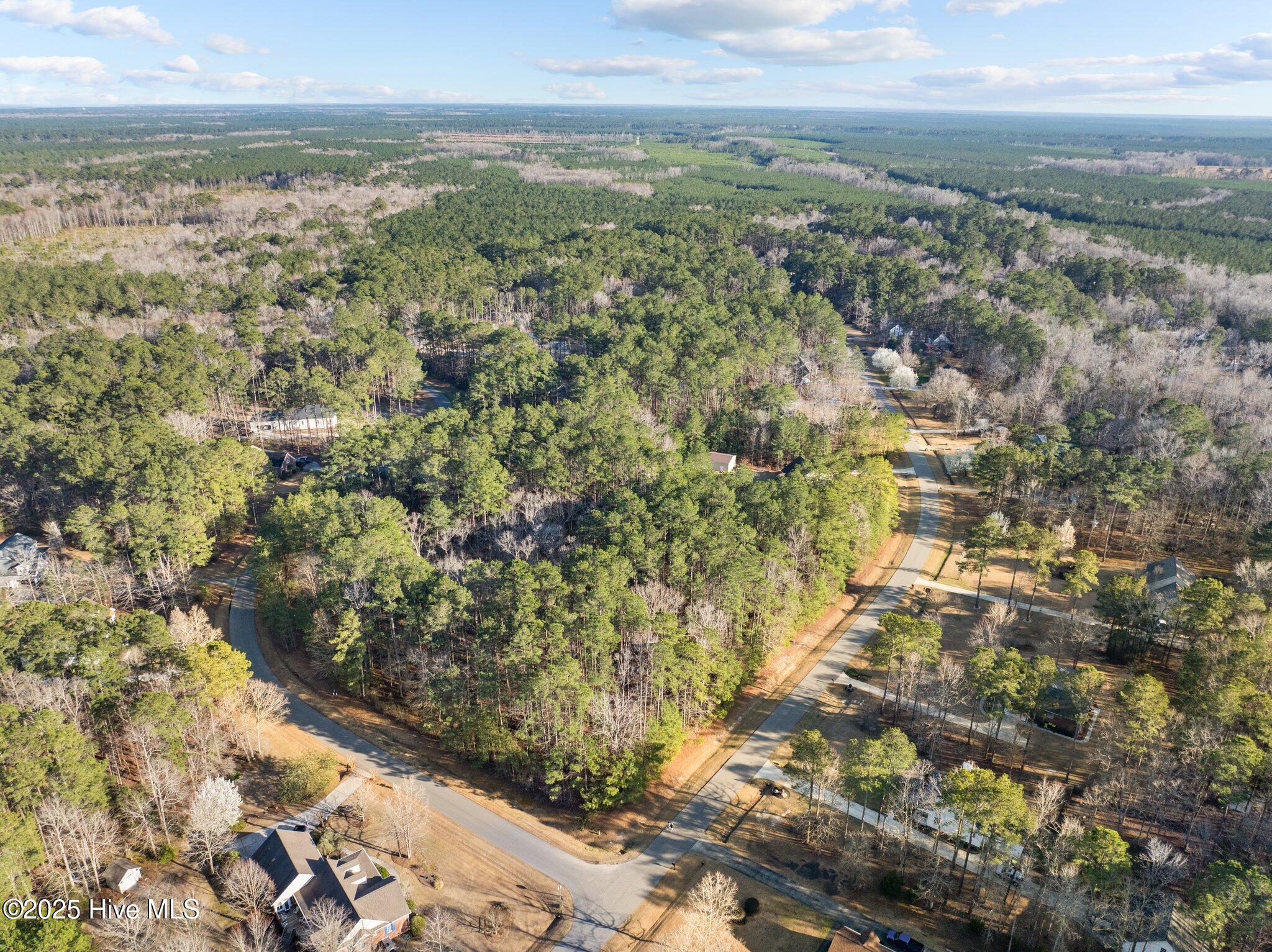 118 Wildflower Way Pollocksville, NC 28573 - Photo 8 of 9 Lot 42 Aerial Corner 7