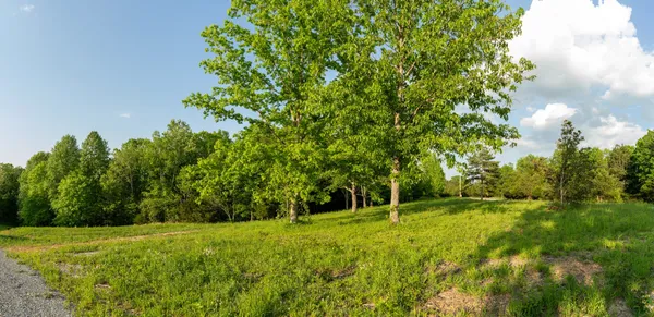 $475,000 | 4 Pinewood Road, Nunnelly, TN 37137