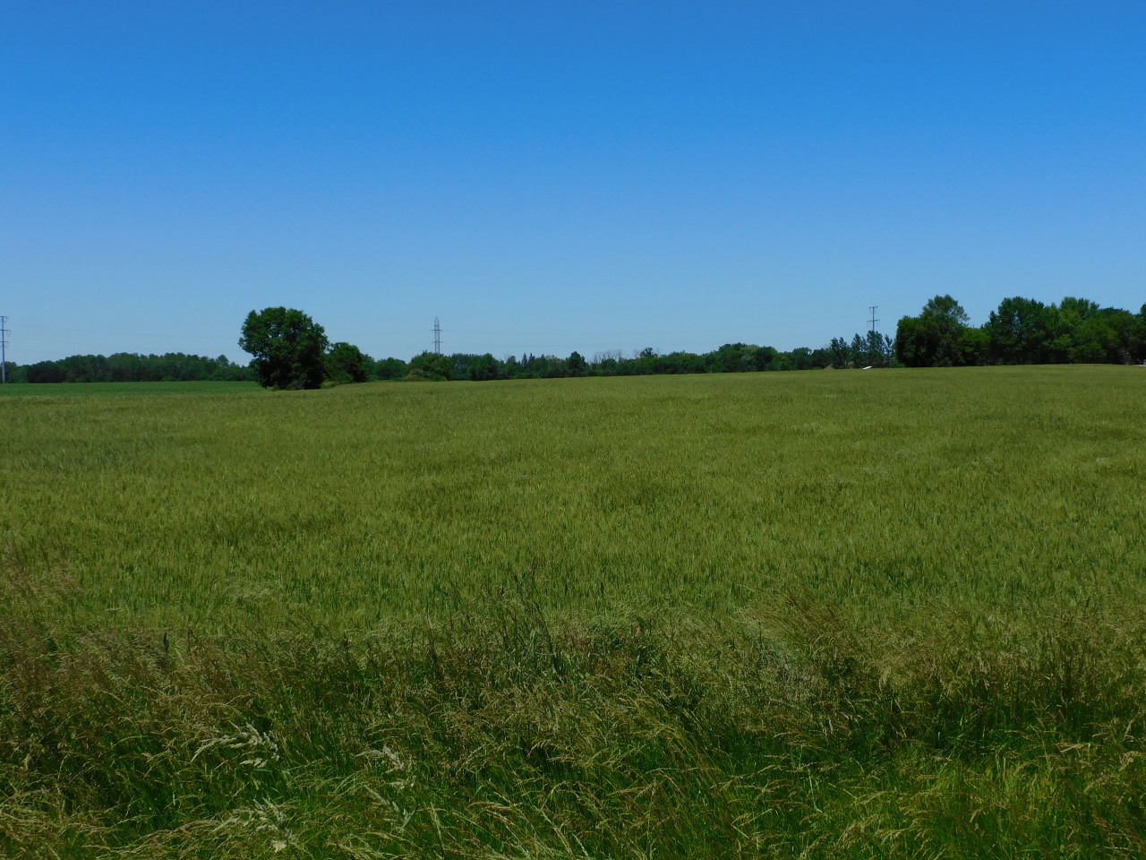 7 West 7 Mile Road Raymond, WI 53126 - Photo 1 of 1 West Side