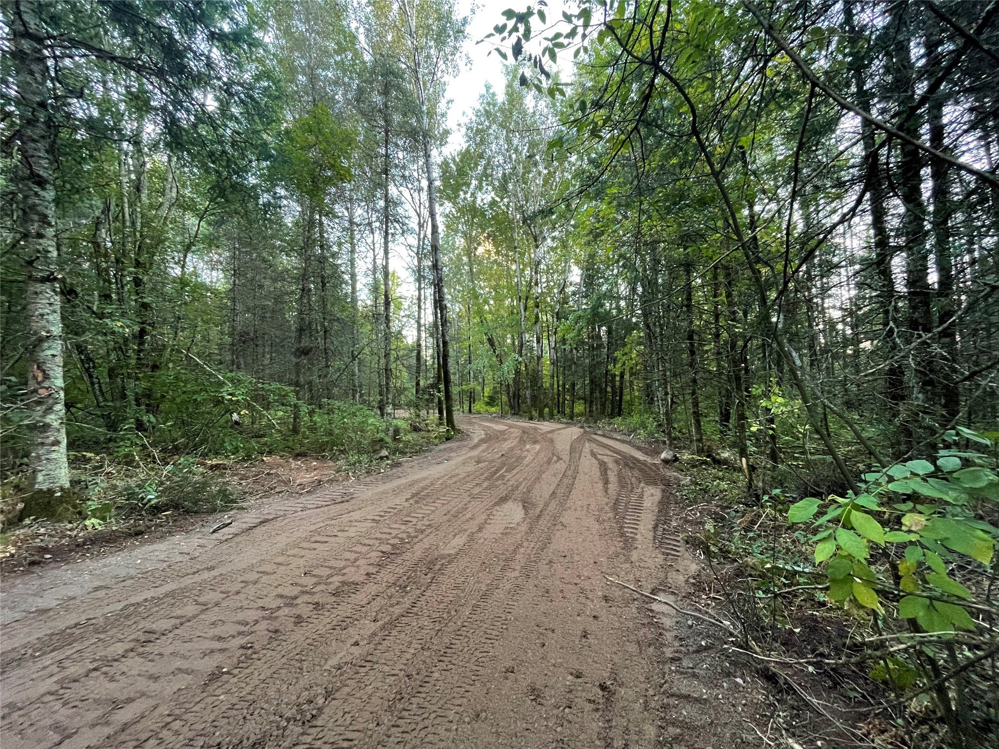 Lot 3 Fadness Road Winter, WI 54896 - Photo 2 of 19 Gallery Image 2