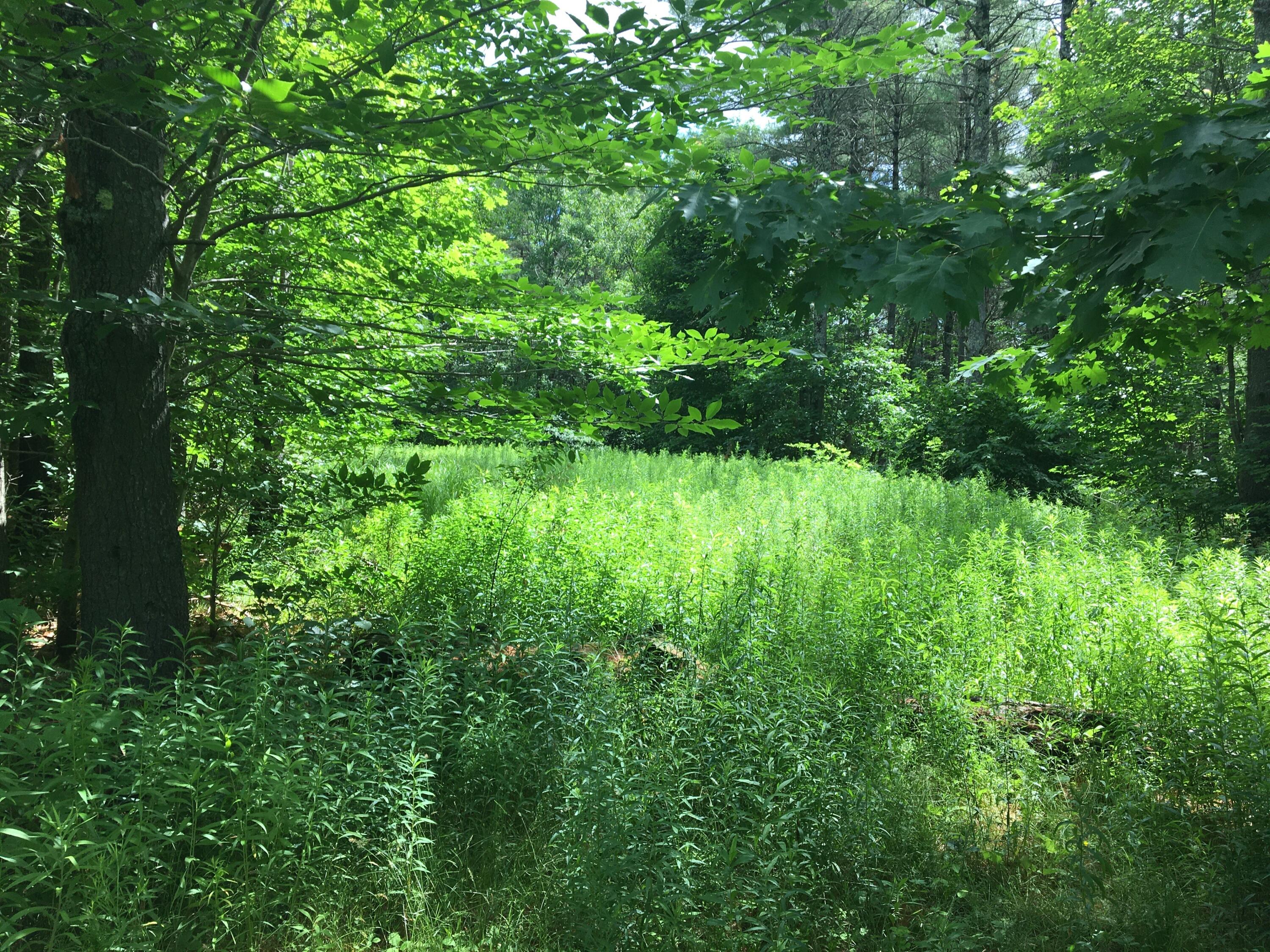 0 Town House Road Augusta, ME 04330 - Photo 1 of 1 petes land listing chelsea