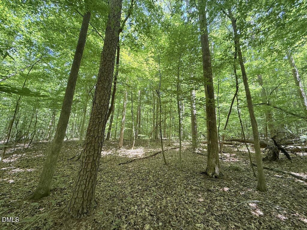 0 Buttonwood Lane Roxboro, NC 27574 - Photo 28 of 36
